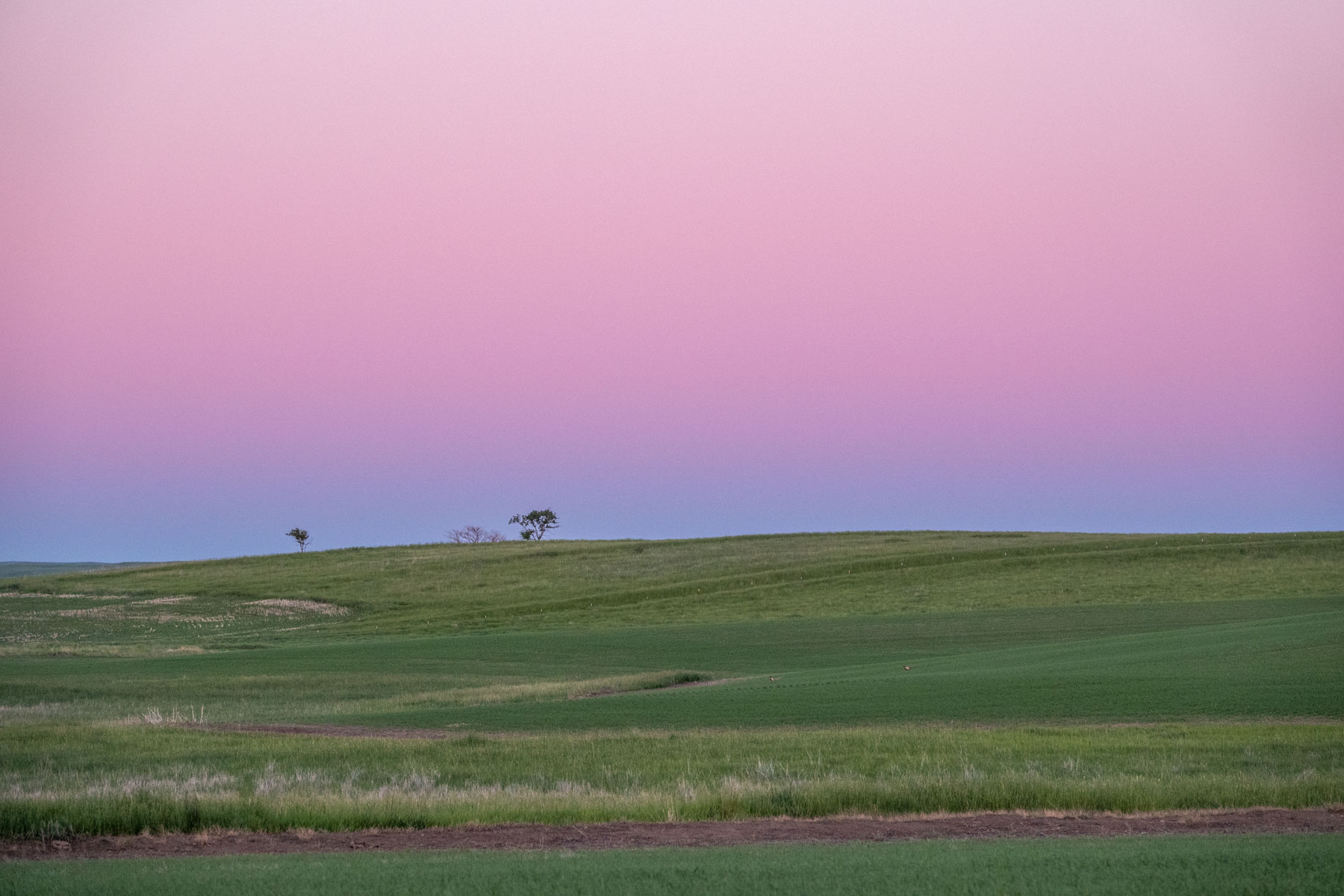Hansen Ranch property picture 62 of 80