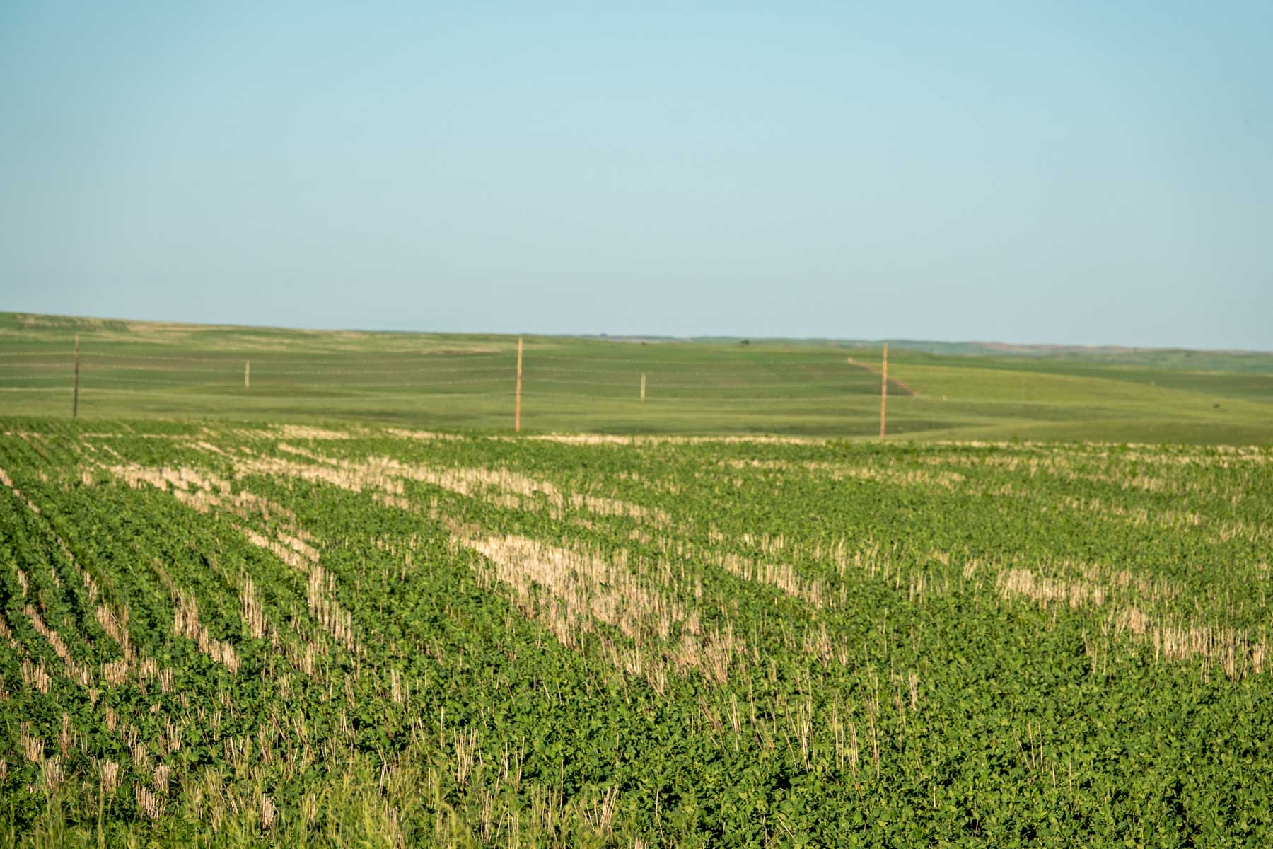 Hansen Ranch property picture 13 of 80