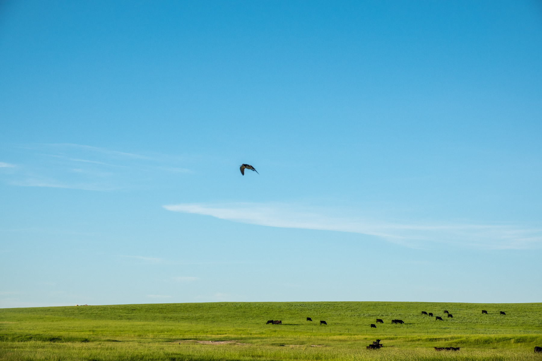 Hansen Ranch property picture 57 of 80