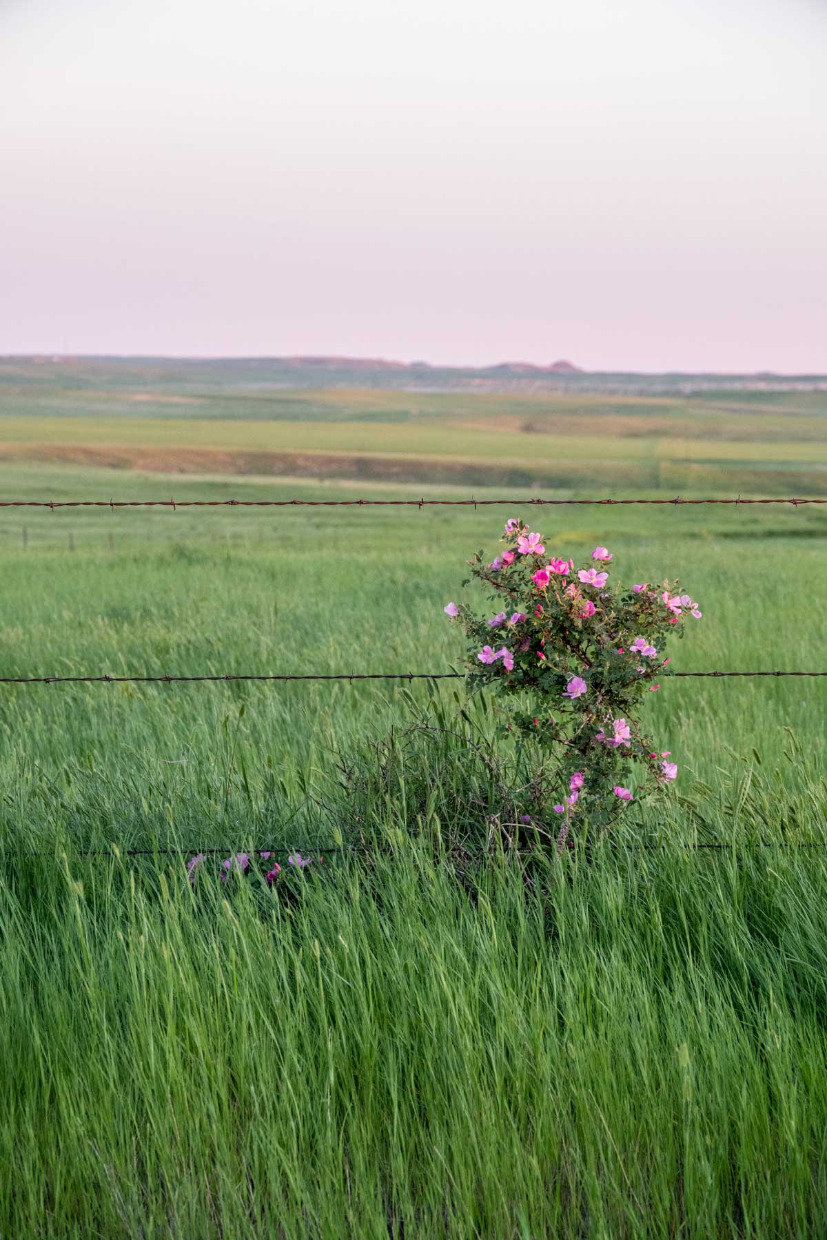 Hansen Ranch property picture 67 of 80