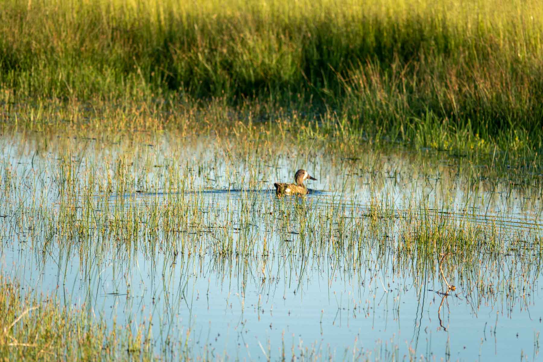 Hansen Ranch property picture 15 of 80