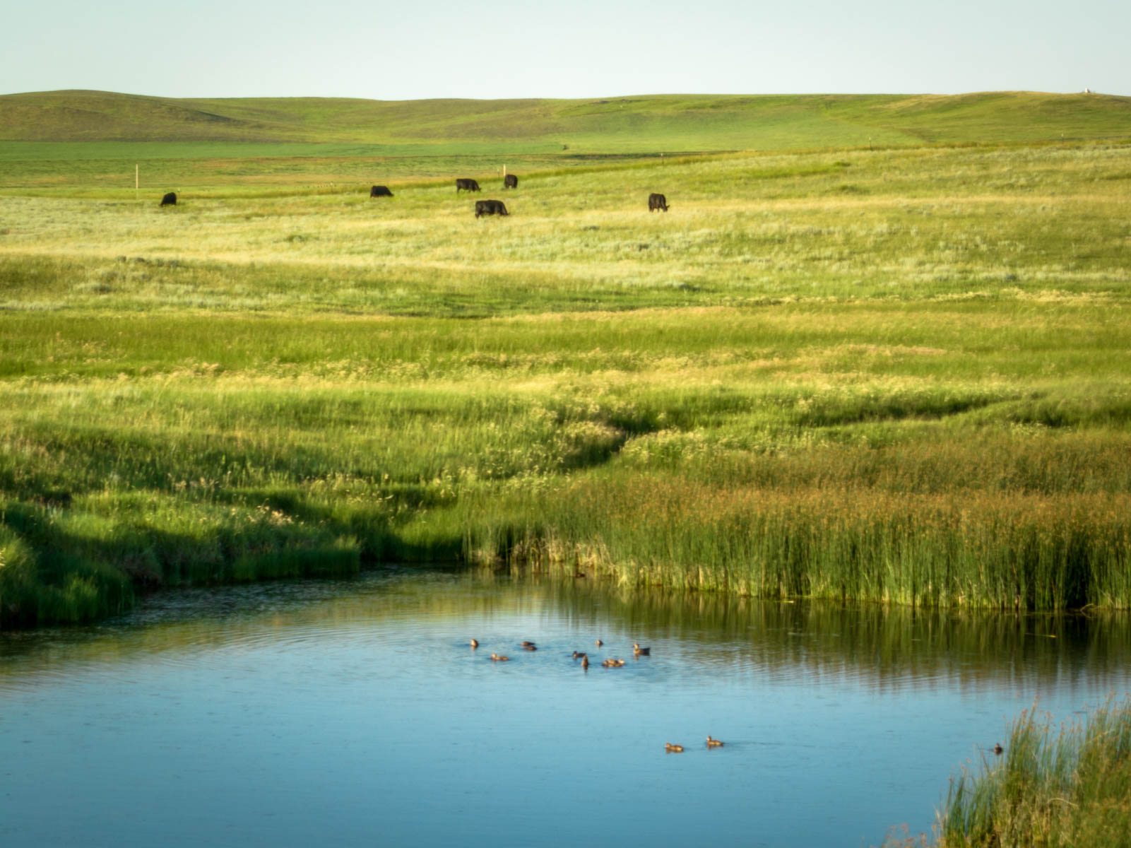 Hansen Ranch property picture 37 of 80