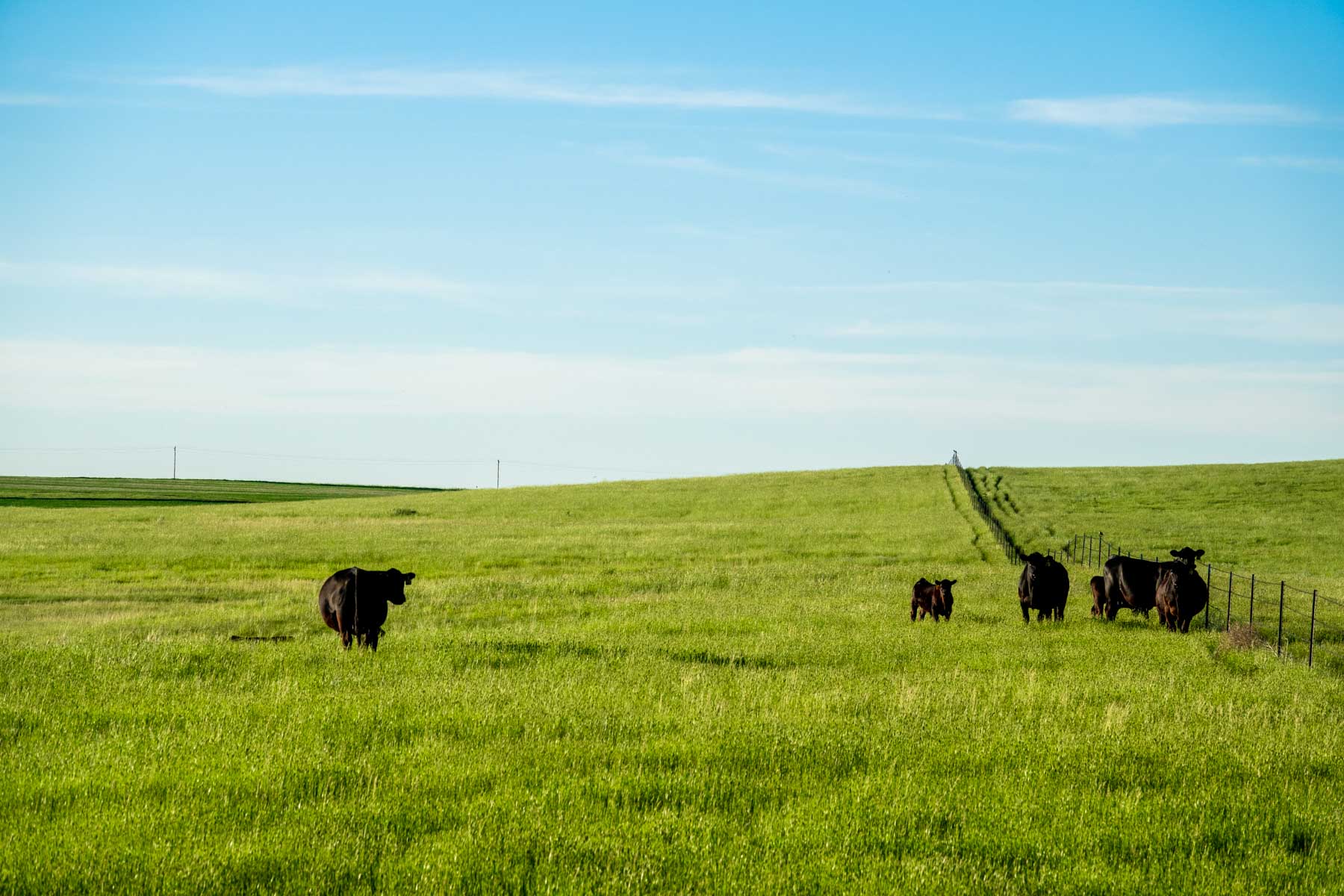 Hansen Ranch property picture 10 of 80