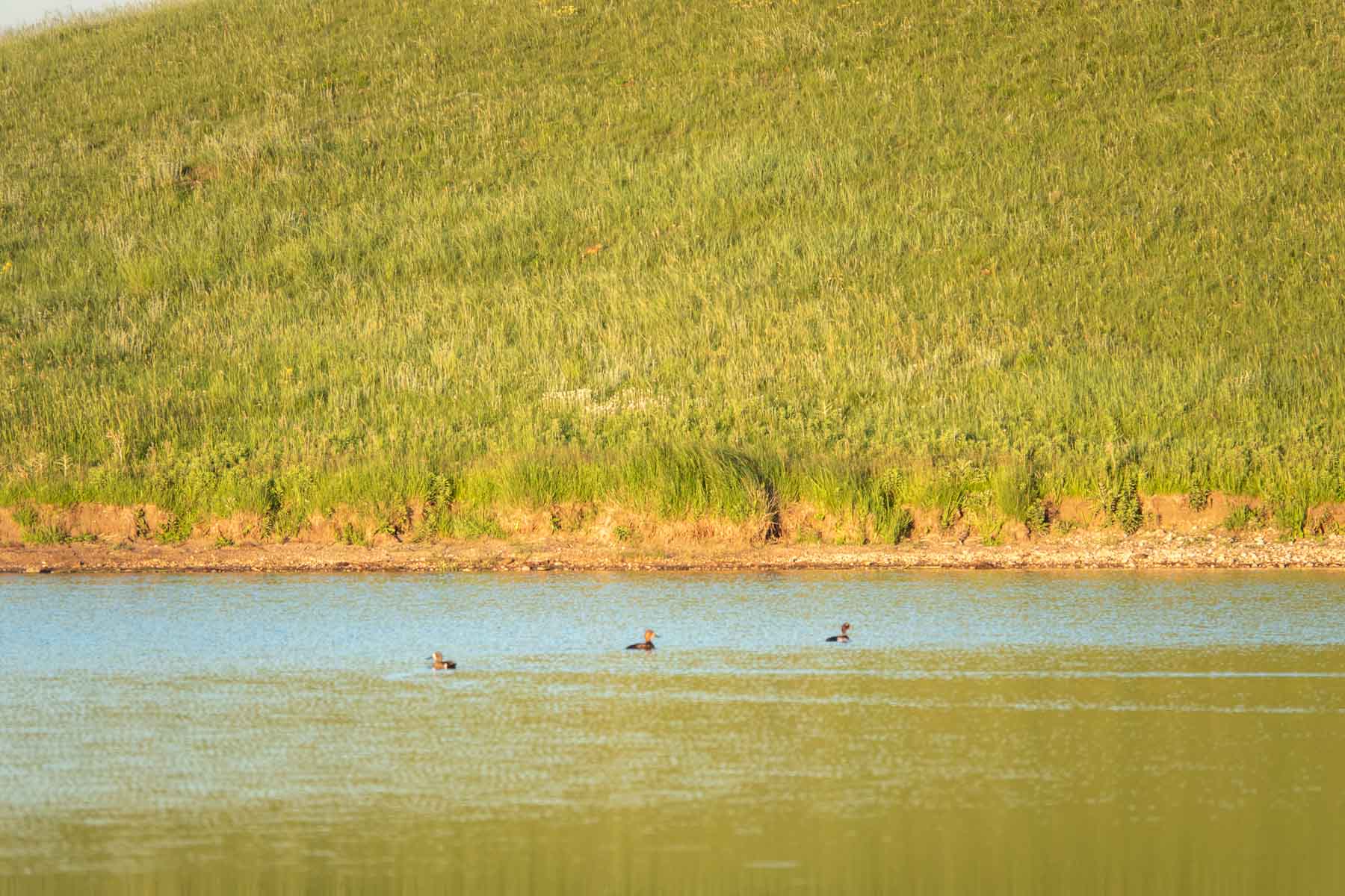 Hansen Ranch property picture 66 of 80