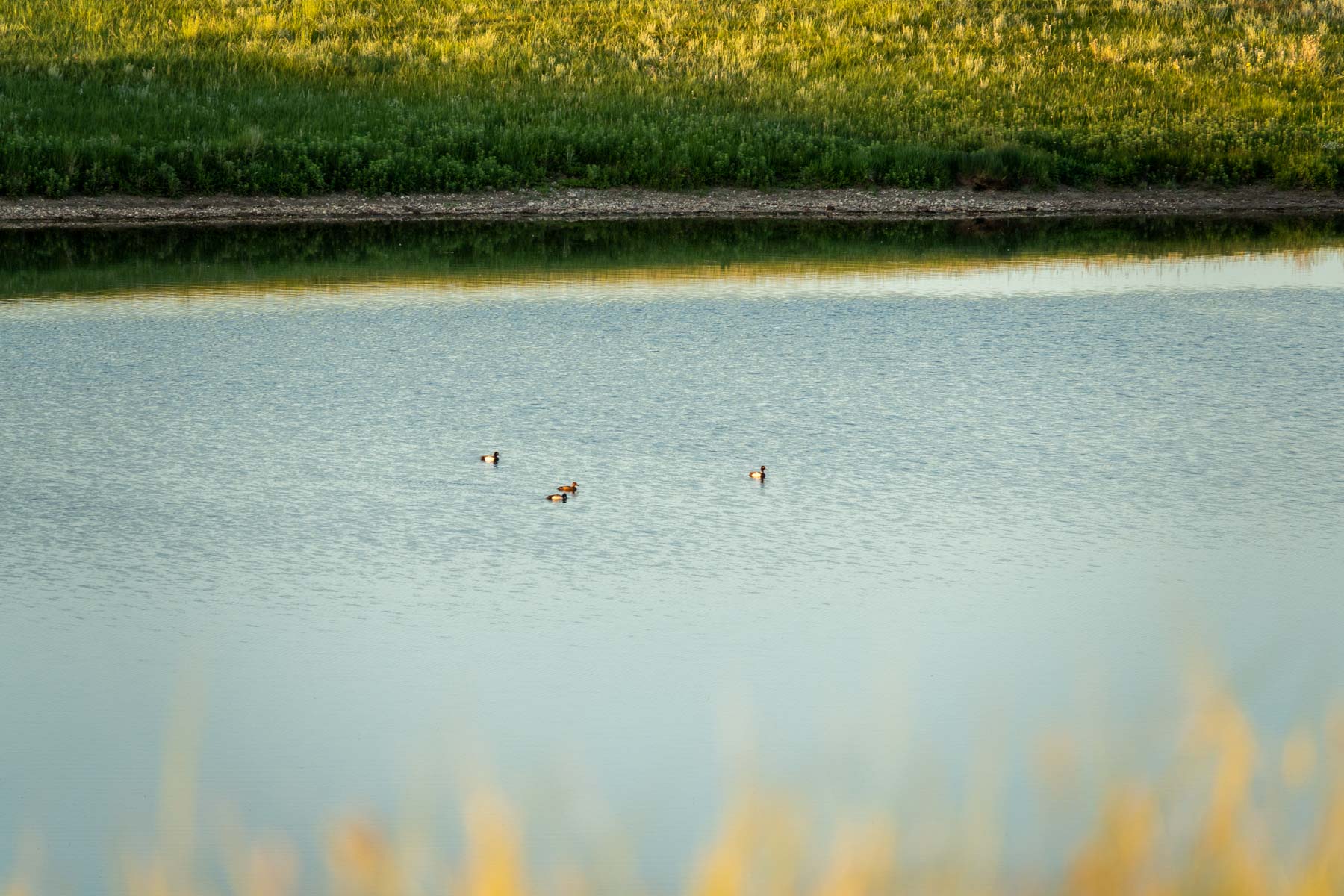 Hansen Ranch property picture 64 of 80