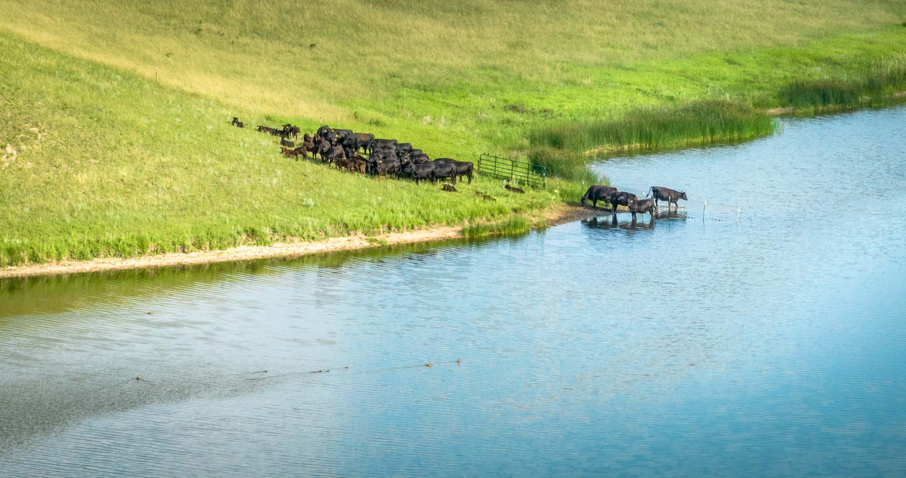 Hansen Ranch property picture 39 of 80