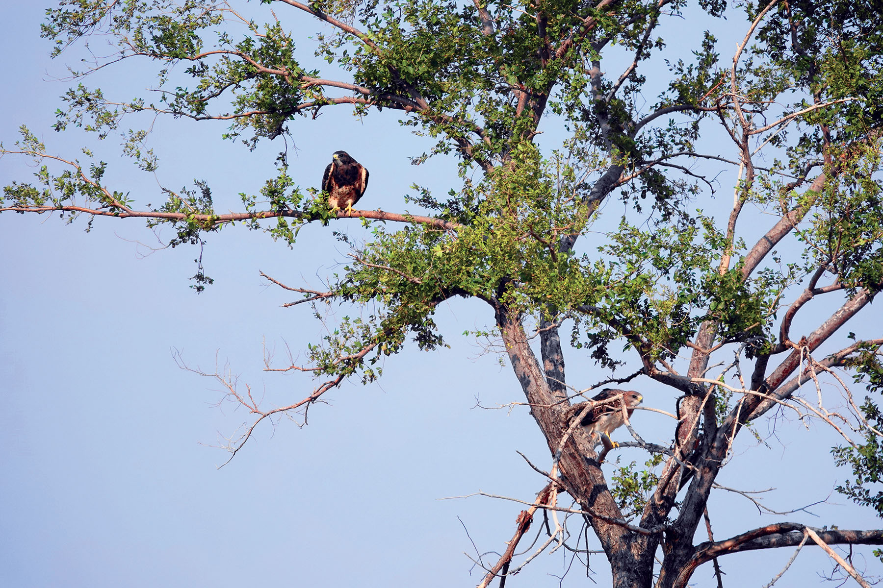 Hansen Ranch property picture 49 of 80