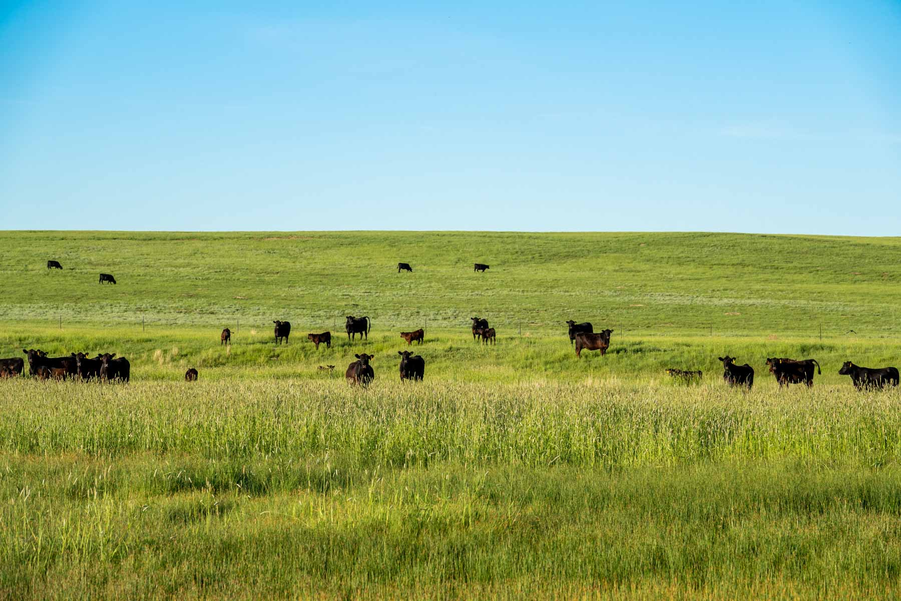 Hansen Ranch property picture 52 of 80