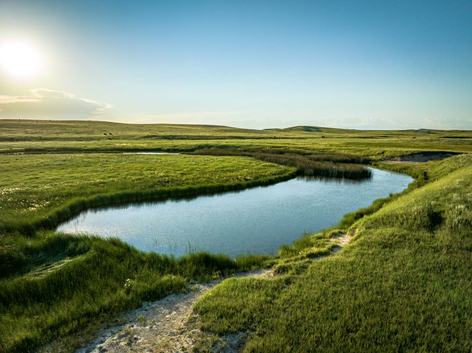 Hansen Ranch property picture 54 of 80