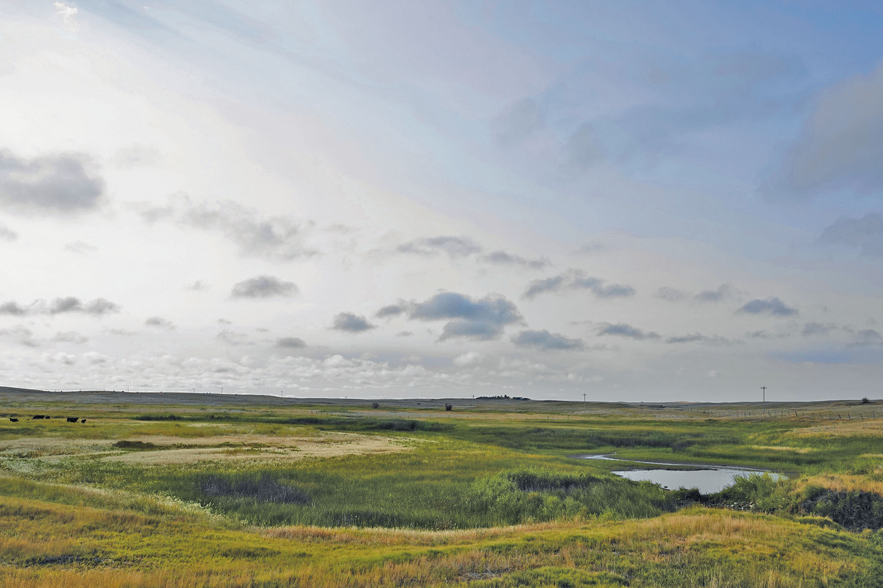 Hansen Ranch property picture 2 of 80