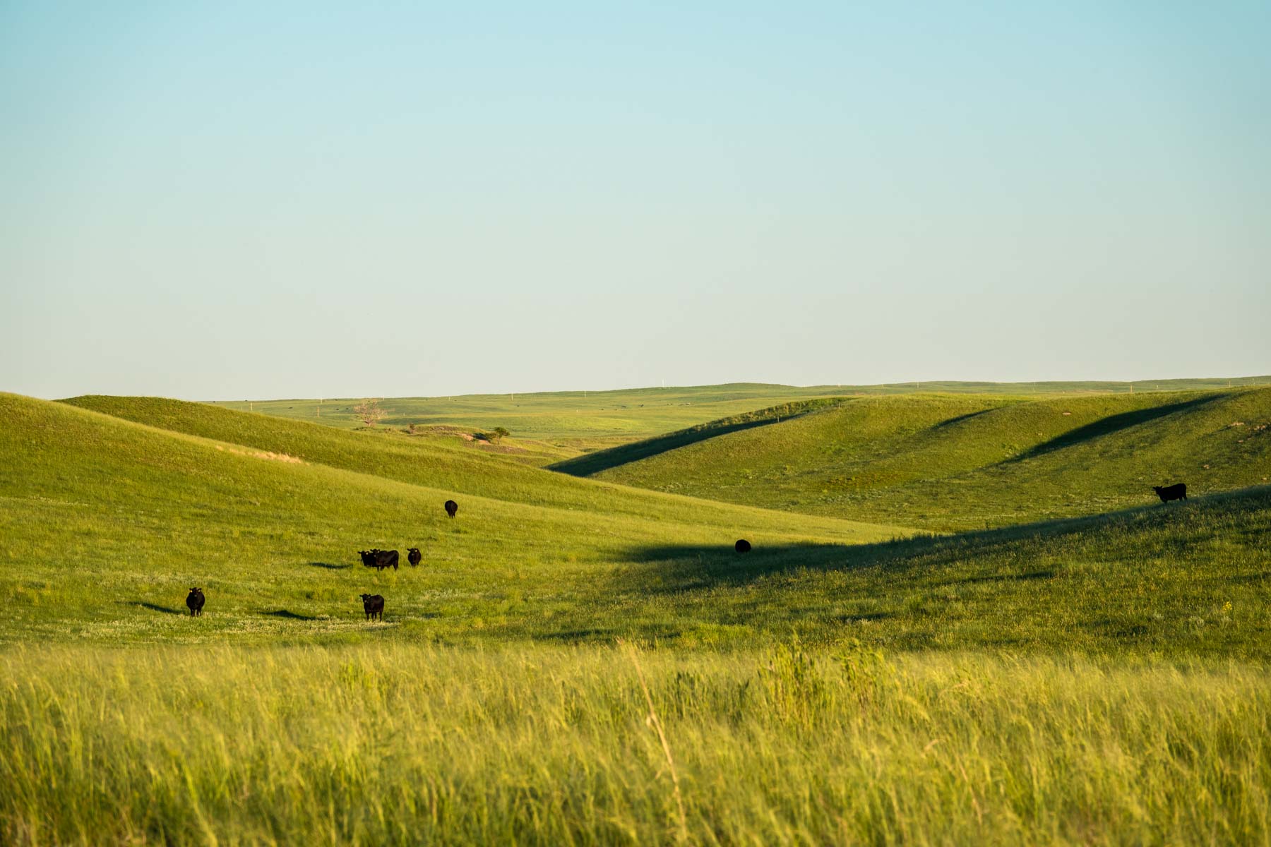 Hansen Ranch property picture 61 of 80