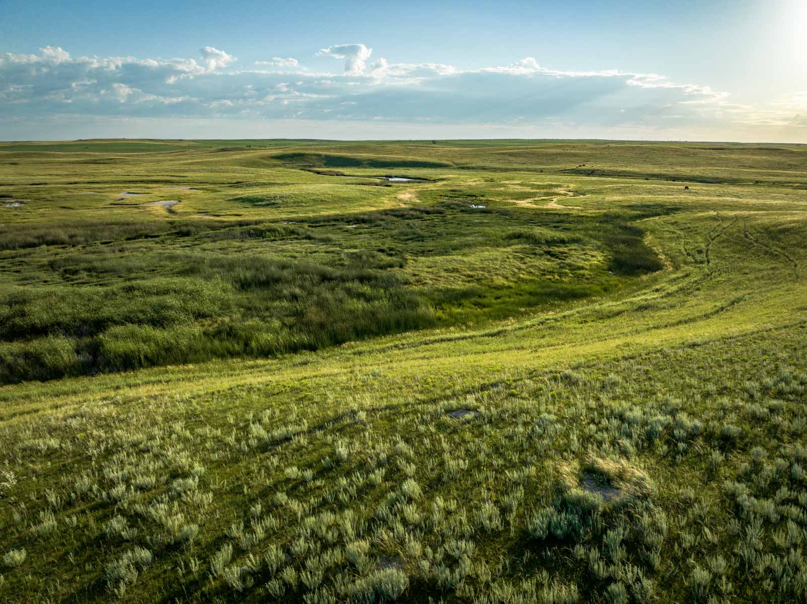 Hansen Ranch property picture 36 of 80