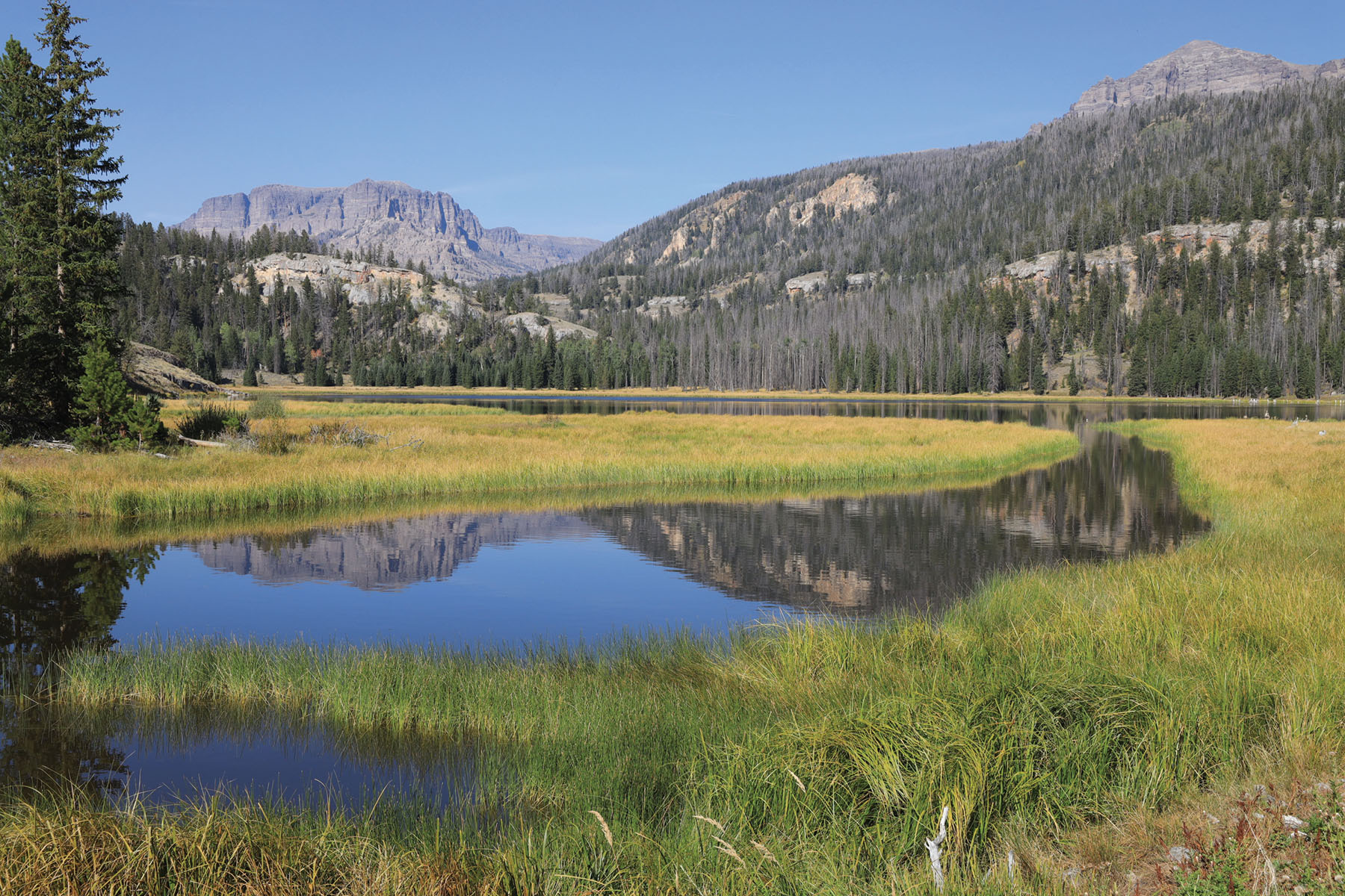 Diamond G Ranch property picture 22 of 77