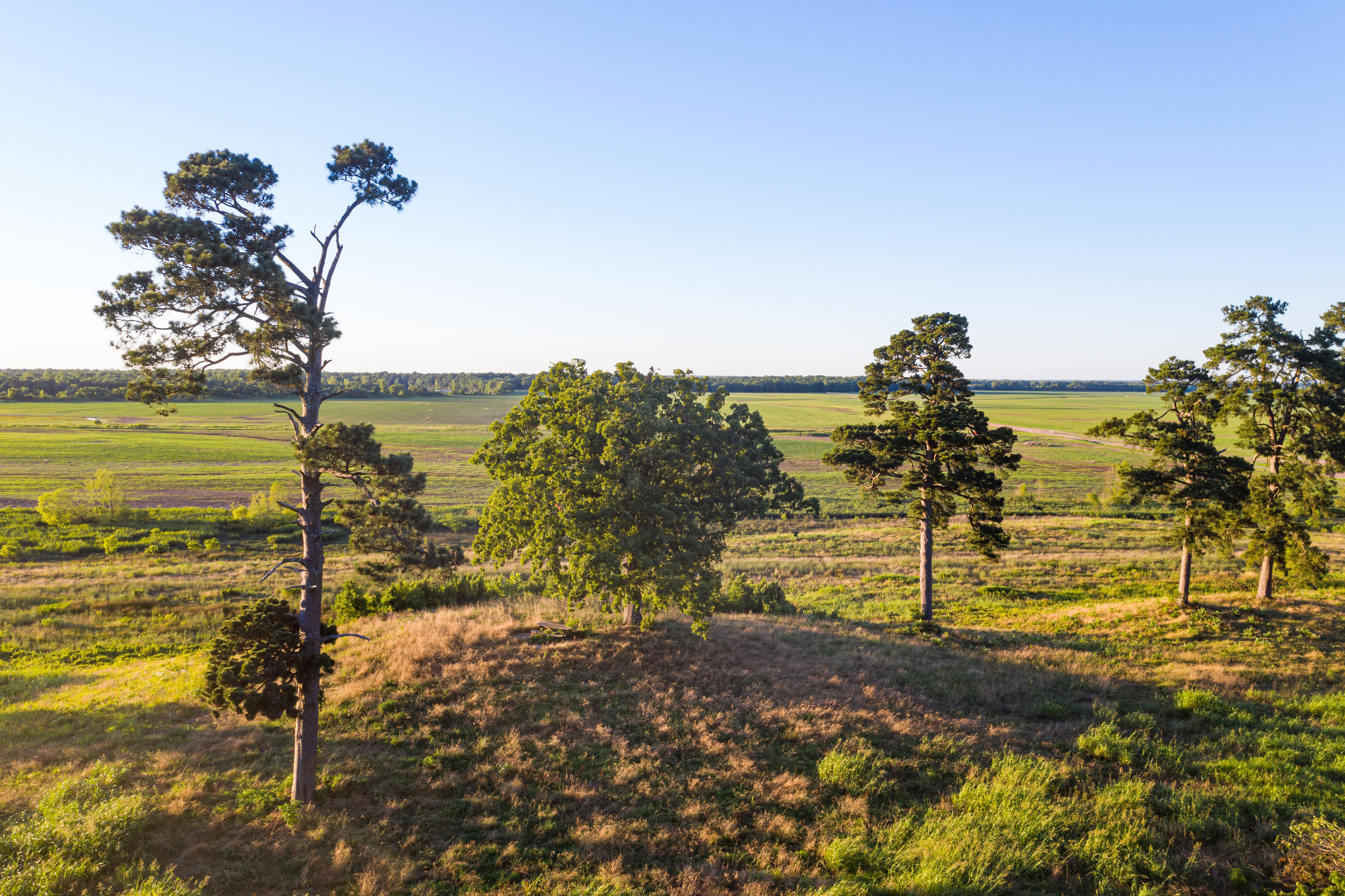 Red River Valley Farm property picture 10 of 28