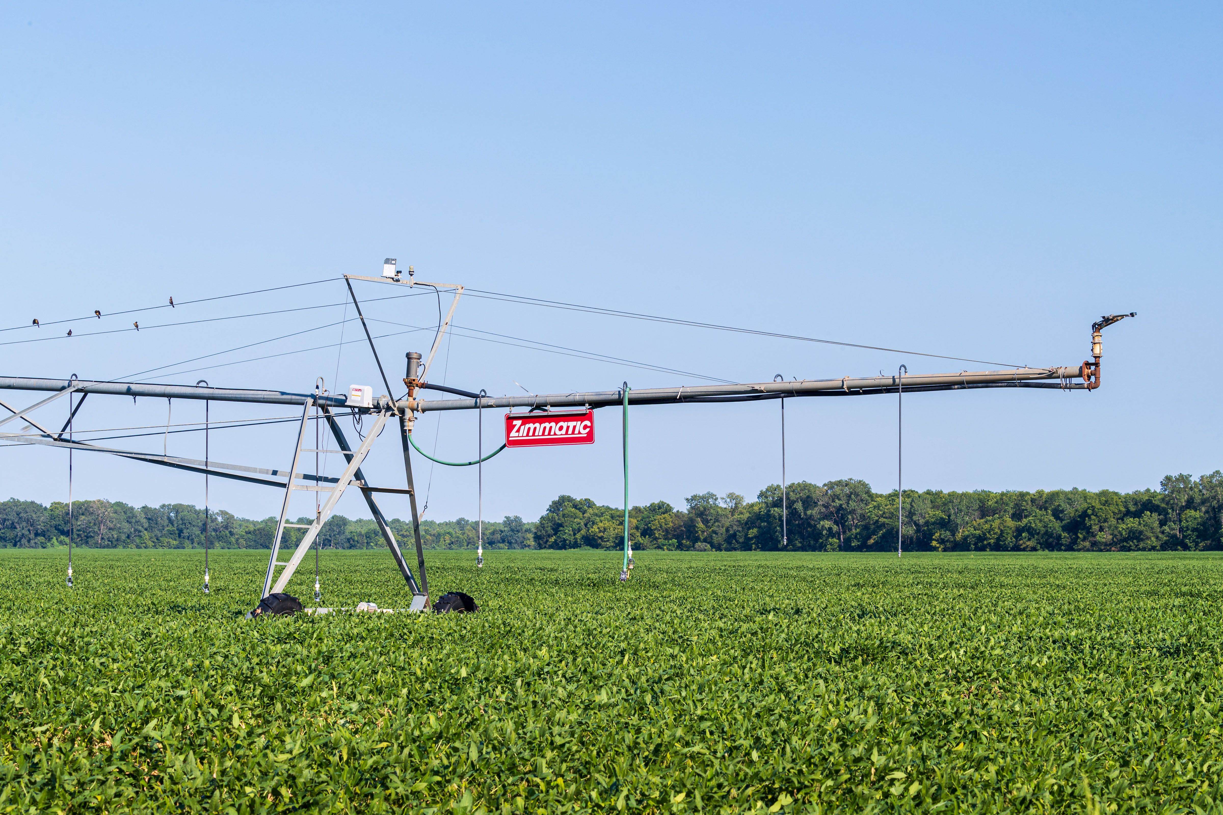 Red River Valley Farm property picture 16 of 28