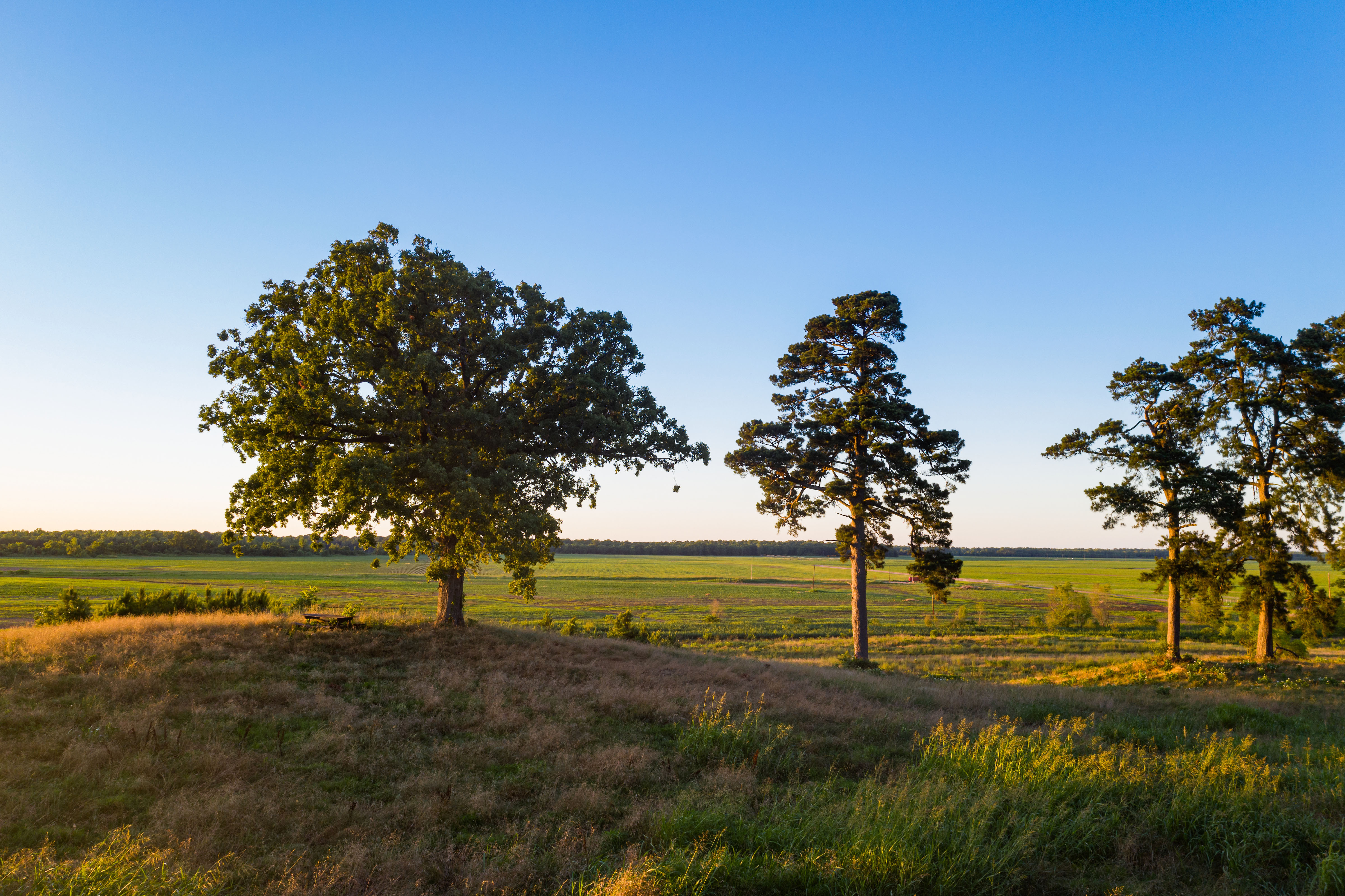 Red River Valley Farm property picture 13 of 28
