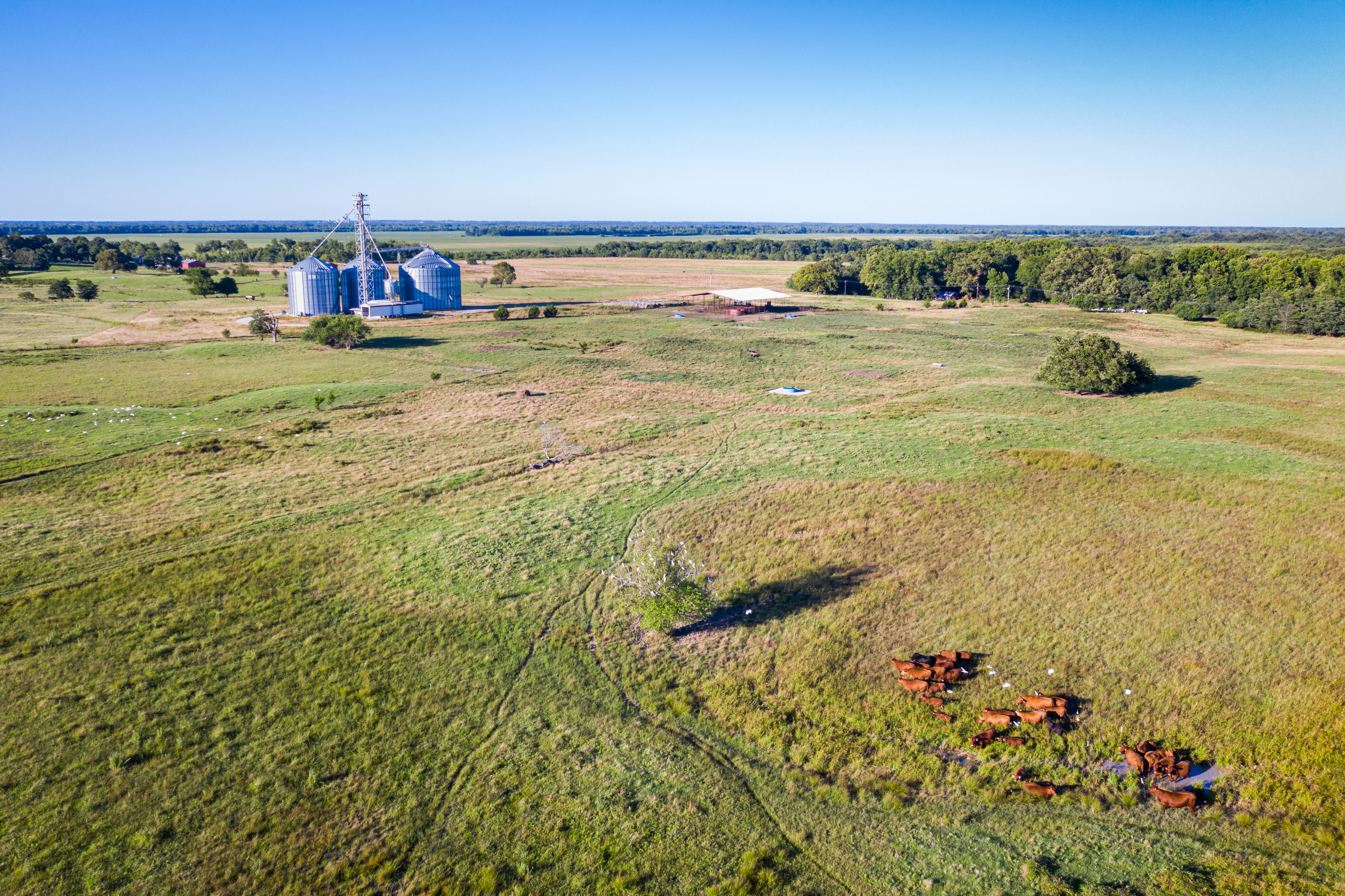Red River Valley Farm property picture 8 of 28
