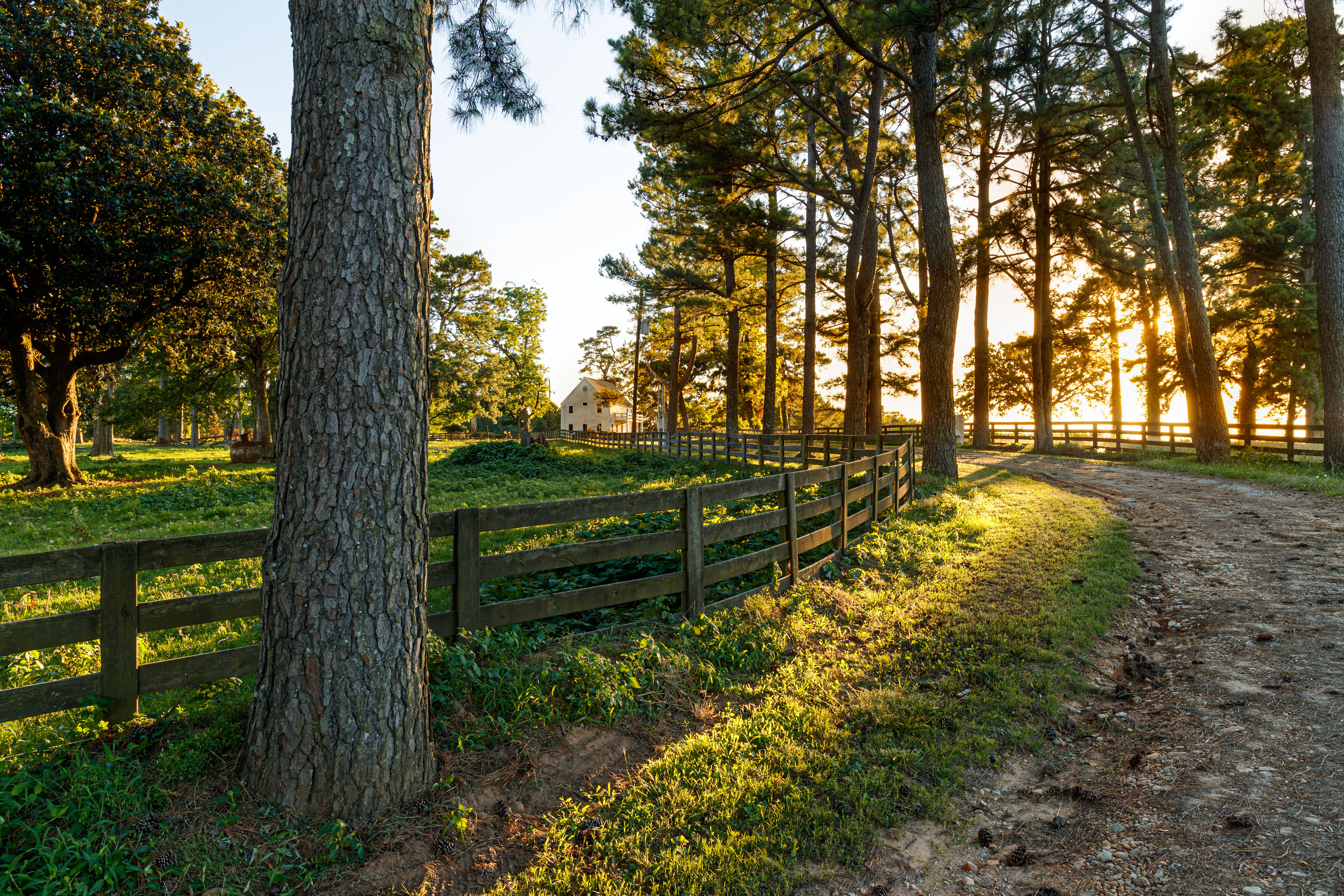 Red River Valley Farm property picture 4 of 28