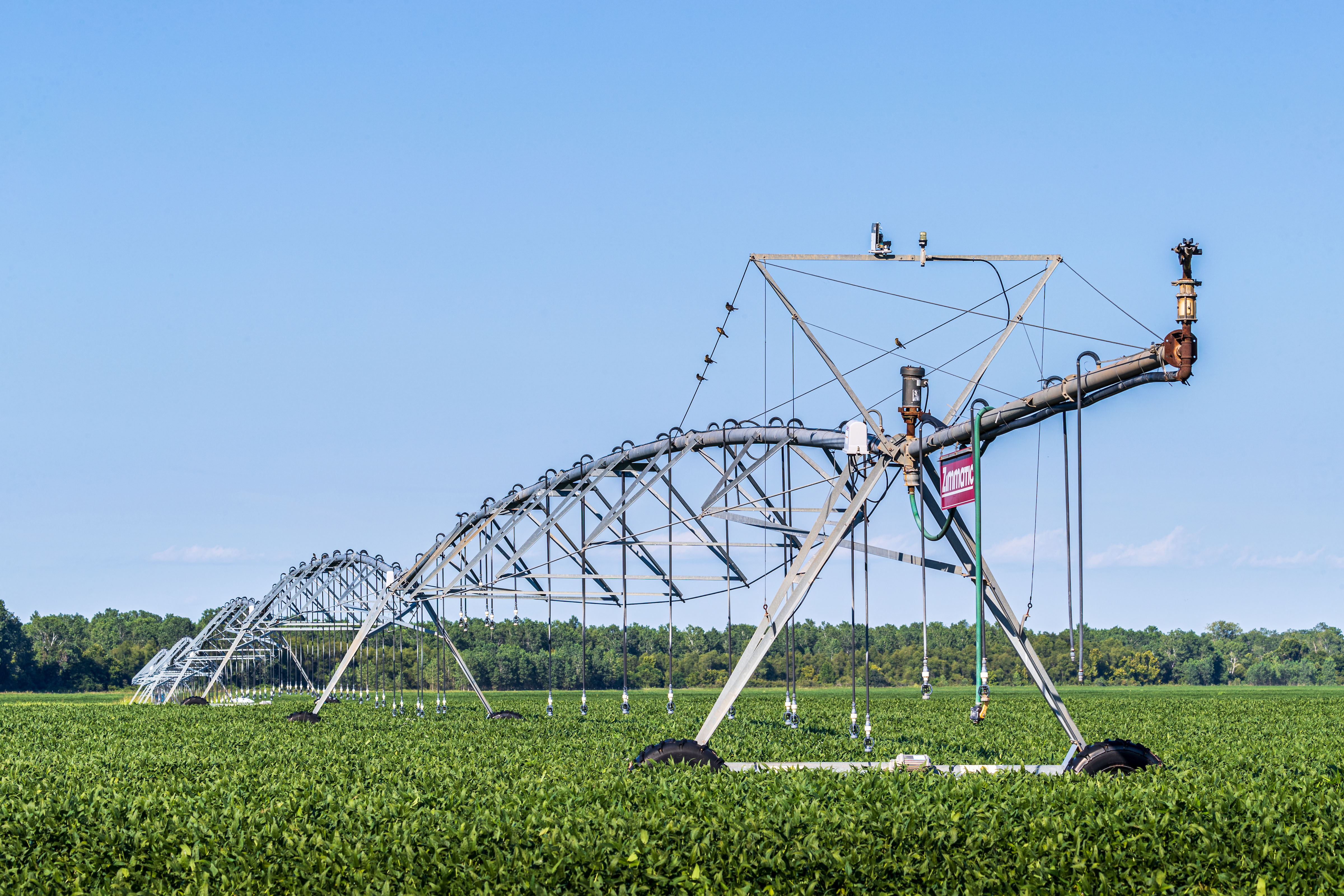 Red River Valley Farm property picture 17 of 28