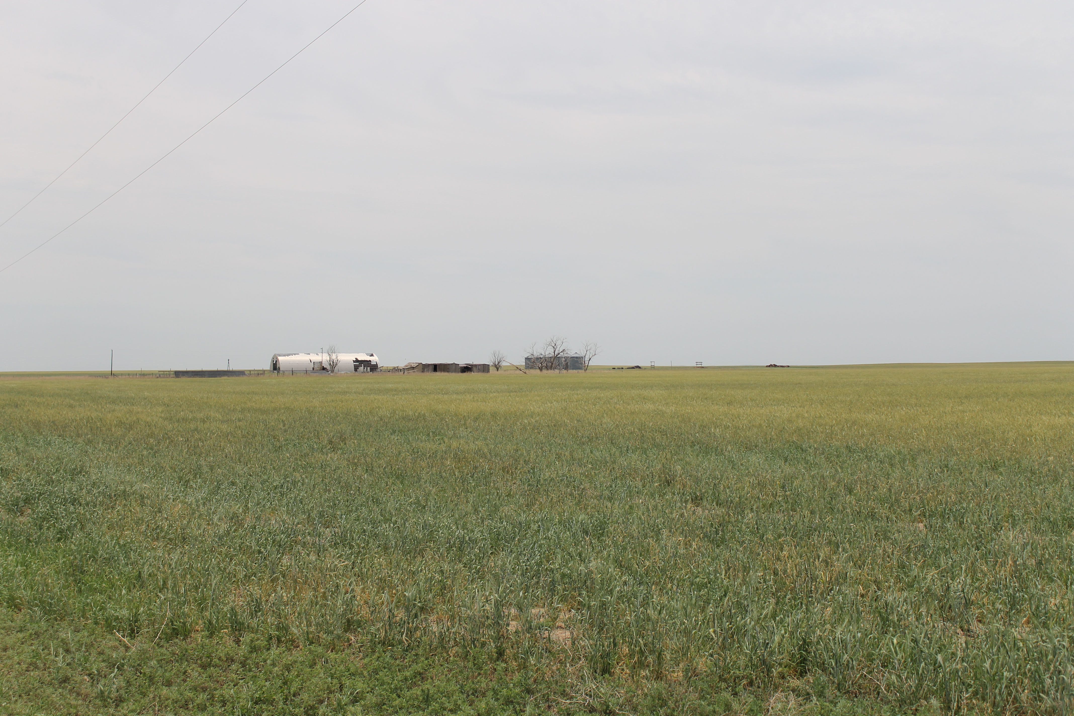 Eastern Colorado Farmland property picture 5 of 8