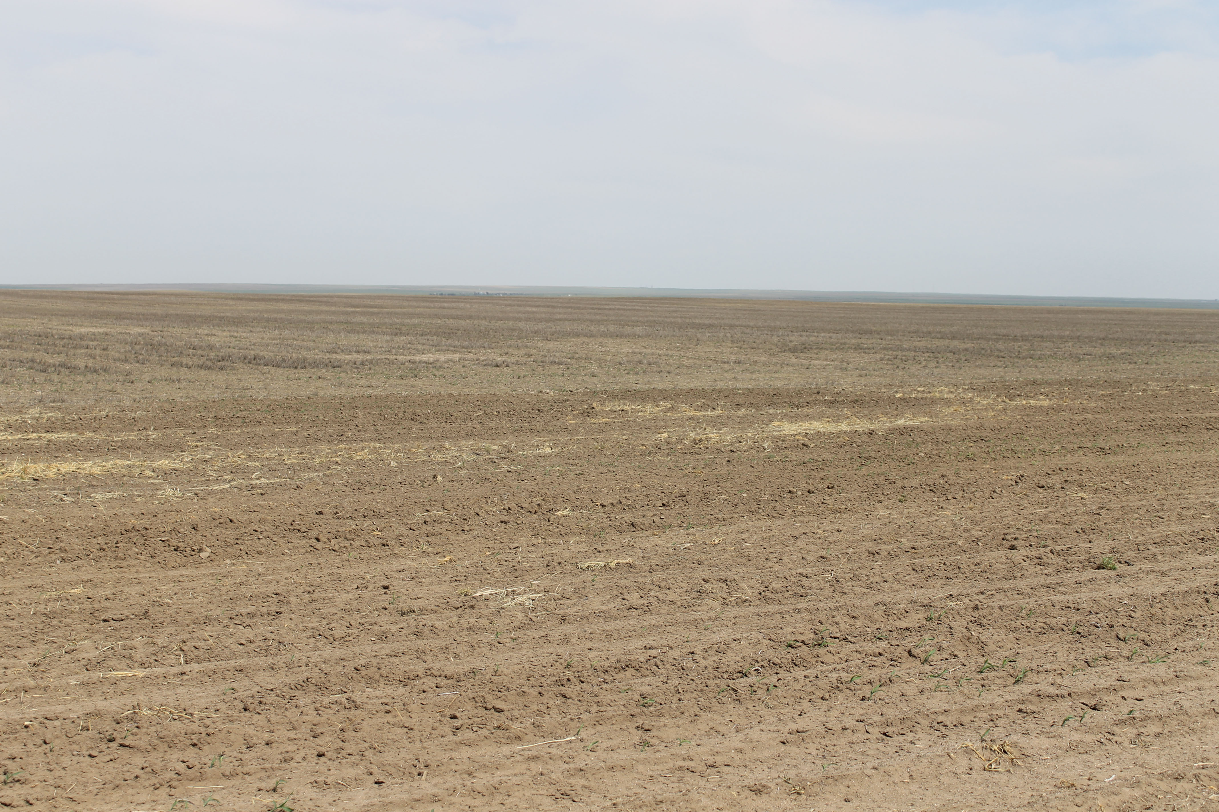 Eastern Colorado Farmland property picture 8 of 8