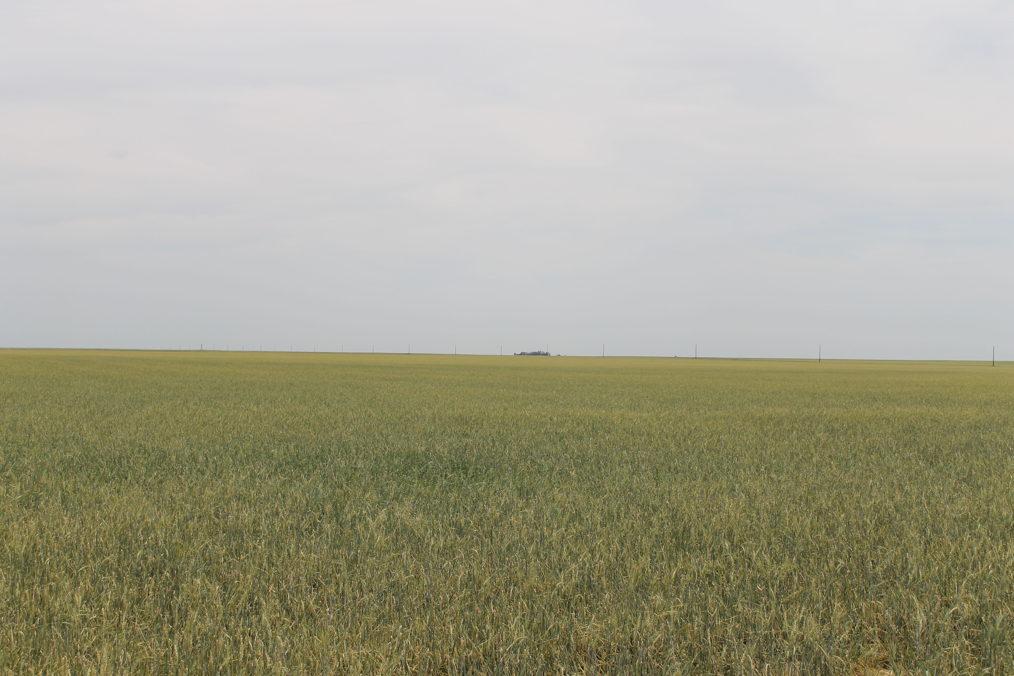 Eastern Colorado Farmland property picture 6 of 8