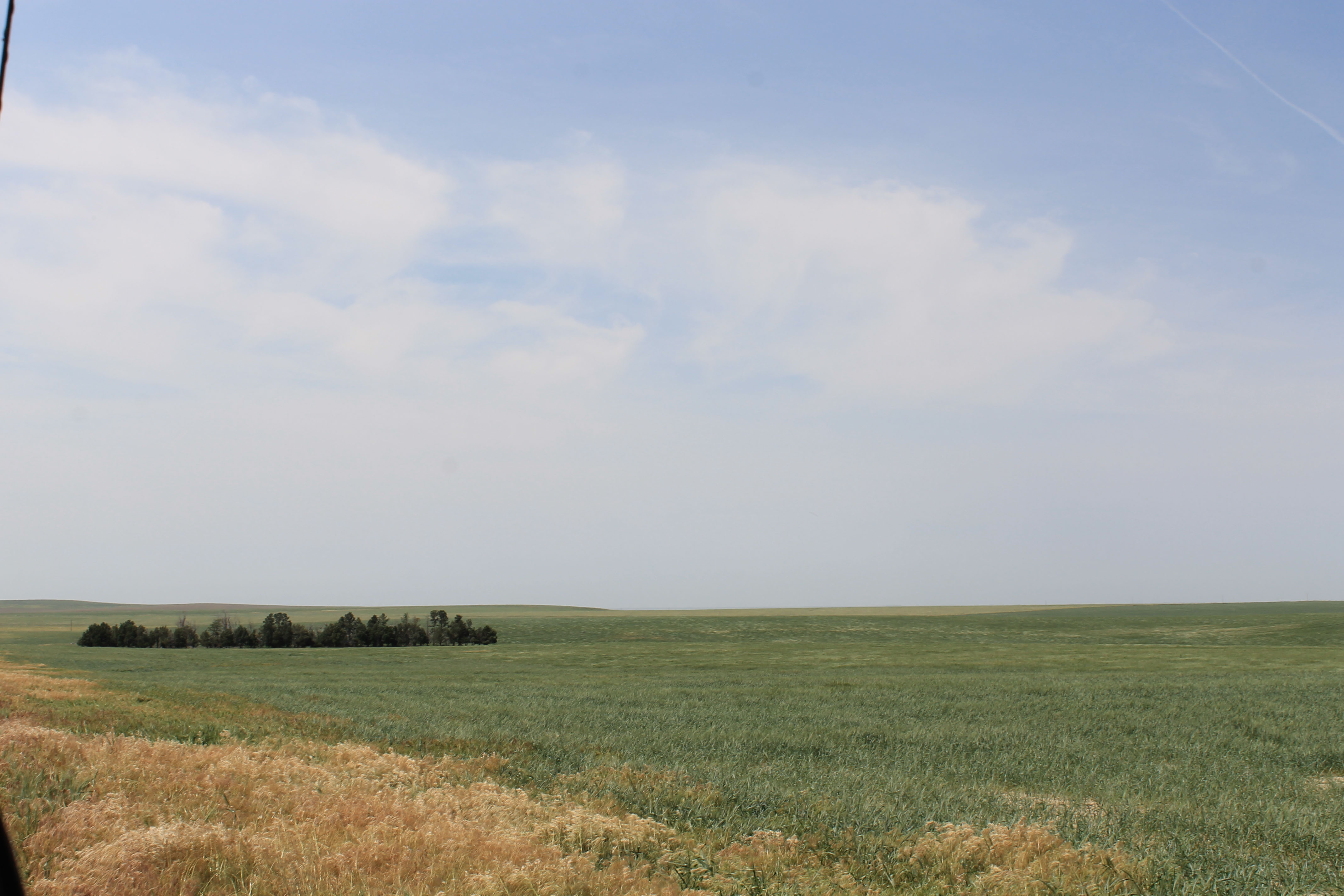 Eastern Colorado Farmland property picture 3 of 8
