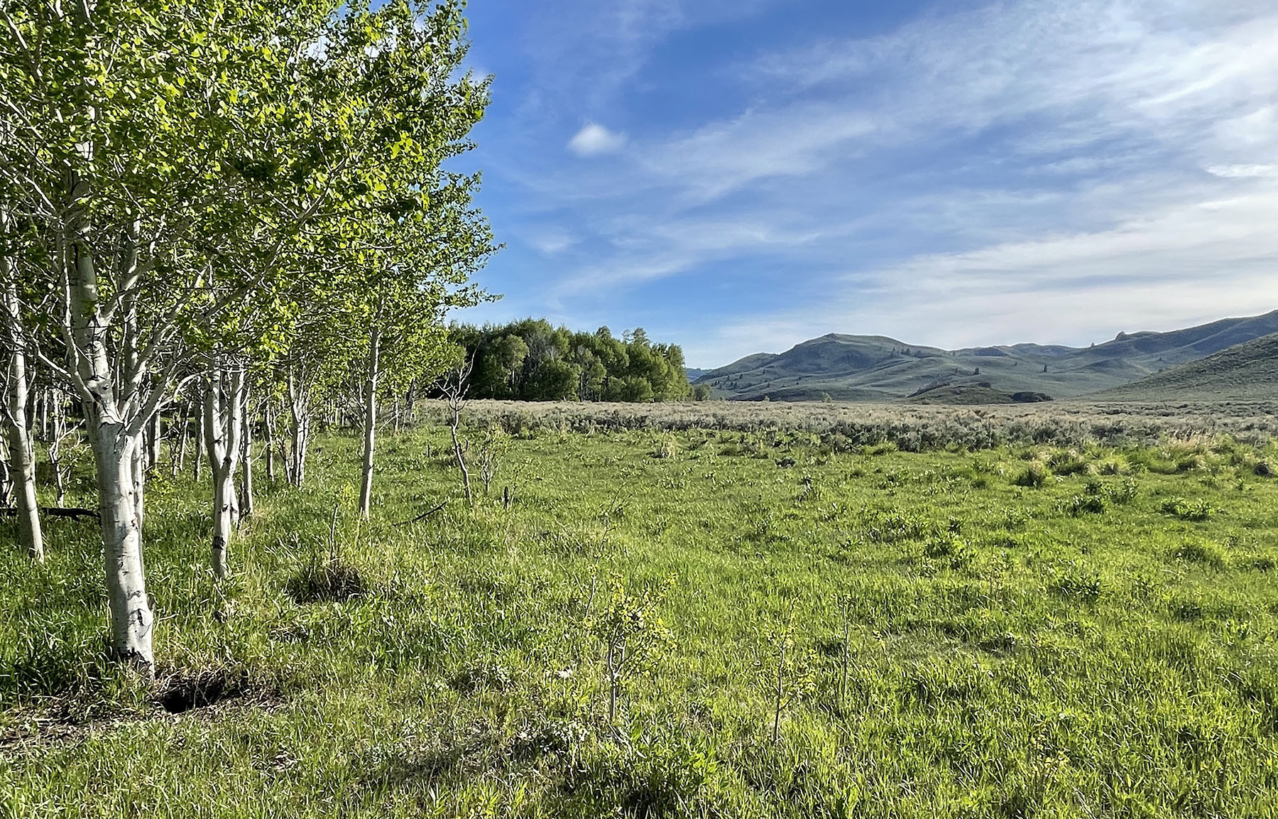 Upper Antelope Creek Ranch property picture 14 of 49