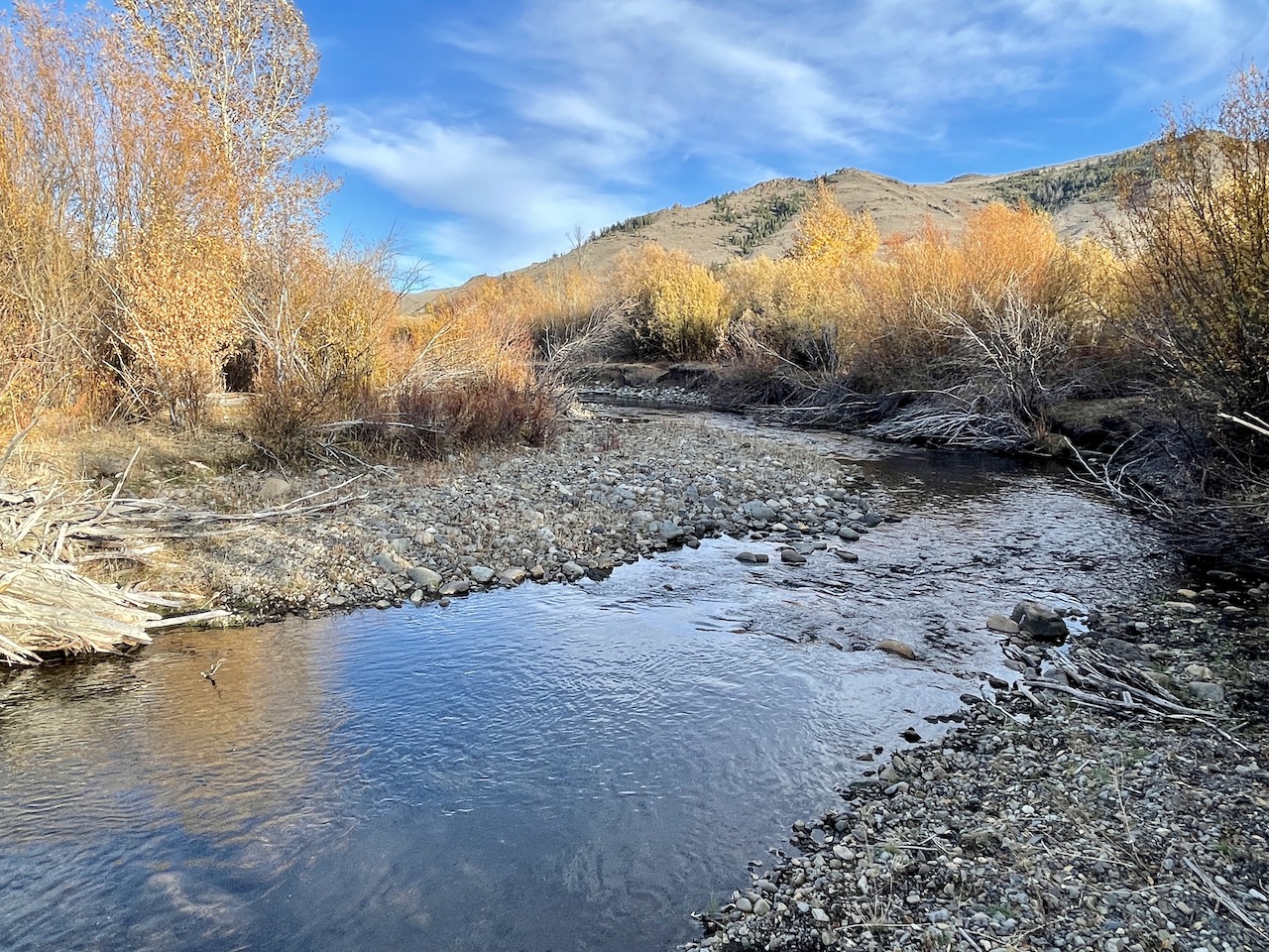 Upper Antelope Creek Ranch property picture 47 of 49