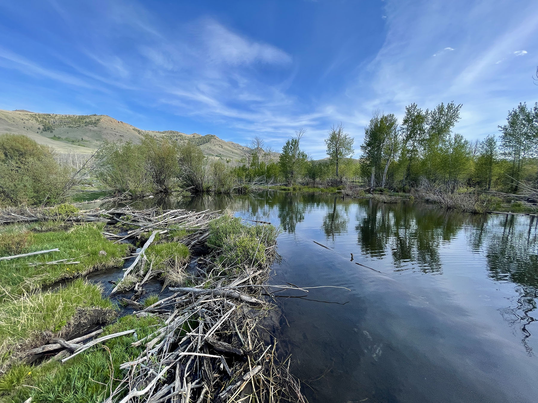 Upper Antelope Creek Ranch property picture 6 of 49