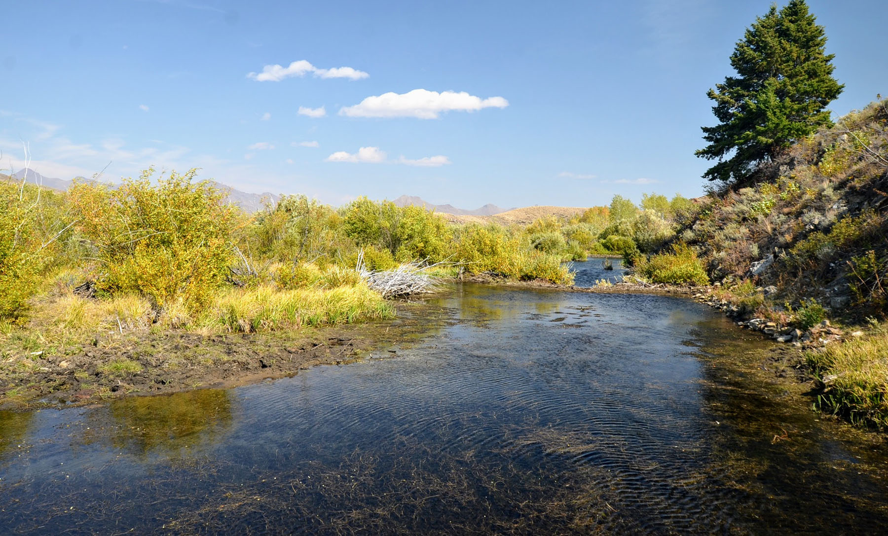 Upper Antelope Creek Ranch property picture 25 of 49
