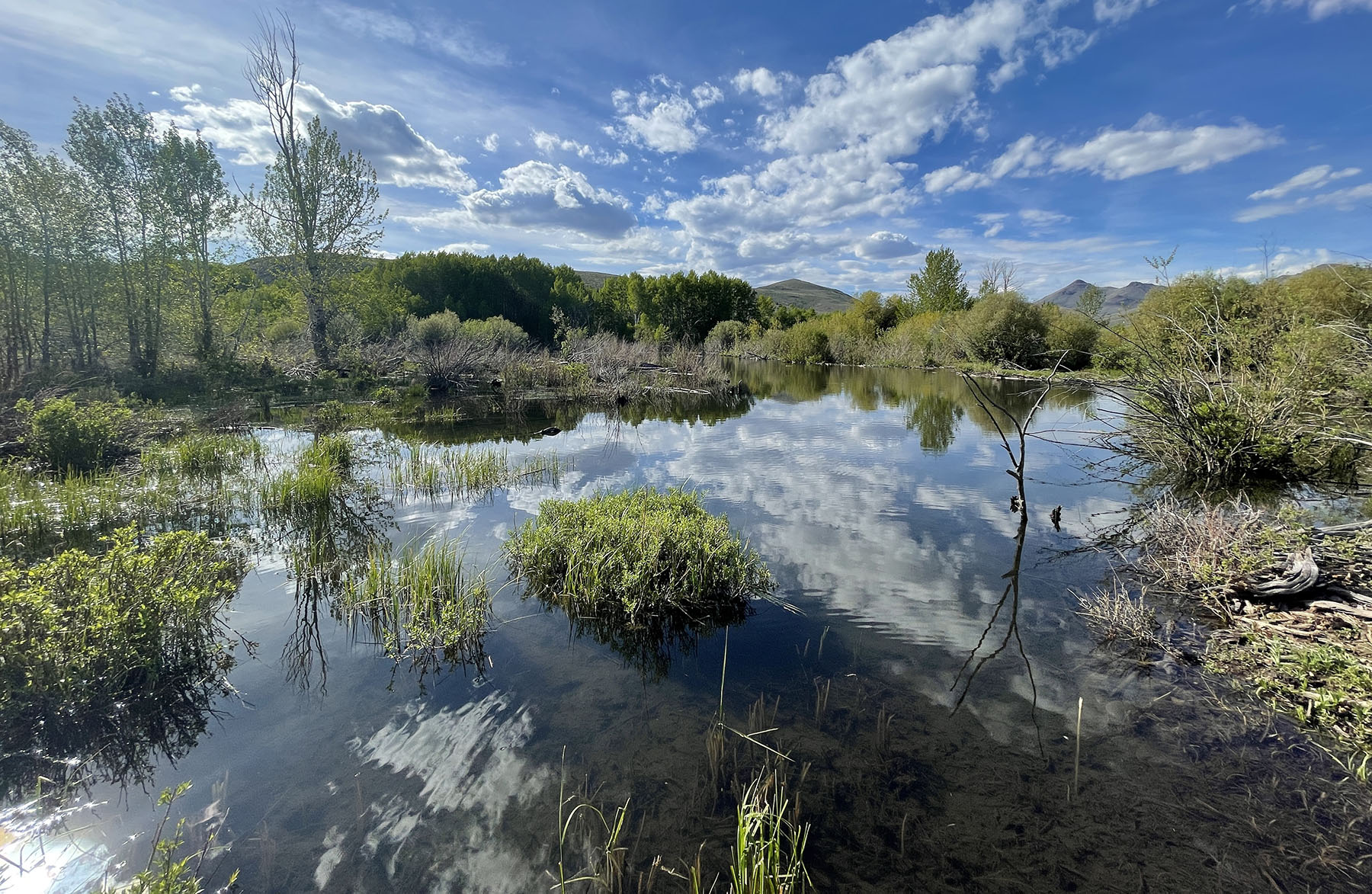 Upper Antelope Creek Ranch property picture 27 of 49