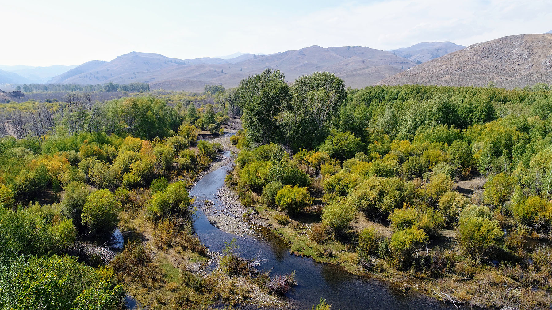 Upper Antelope Creek Ranch property picture 34 of 49