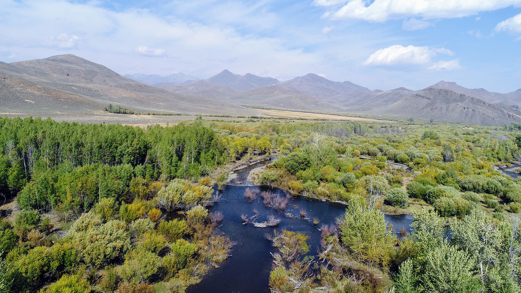 Upper Antelope Creek Ranch property picture 33 of 49