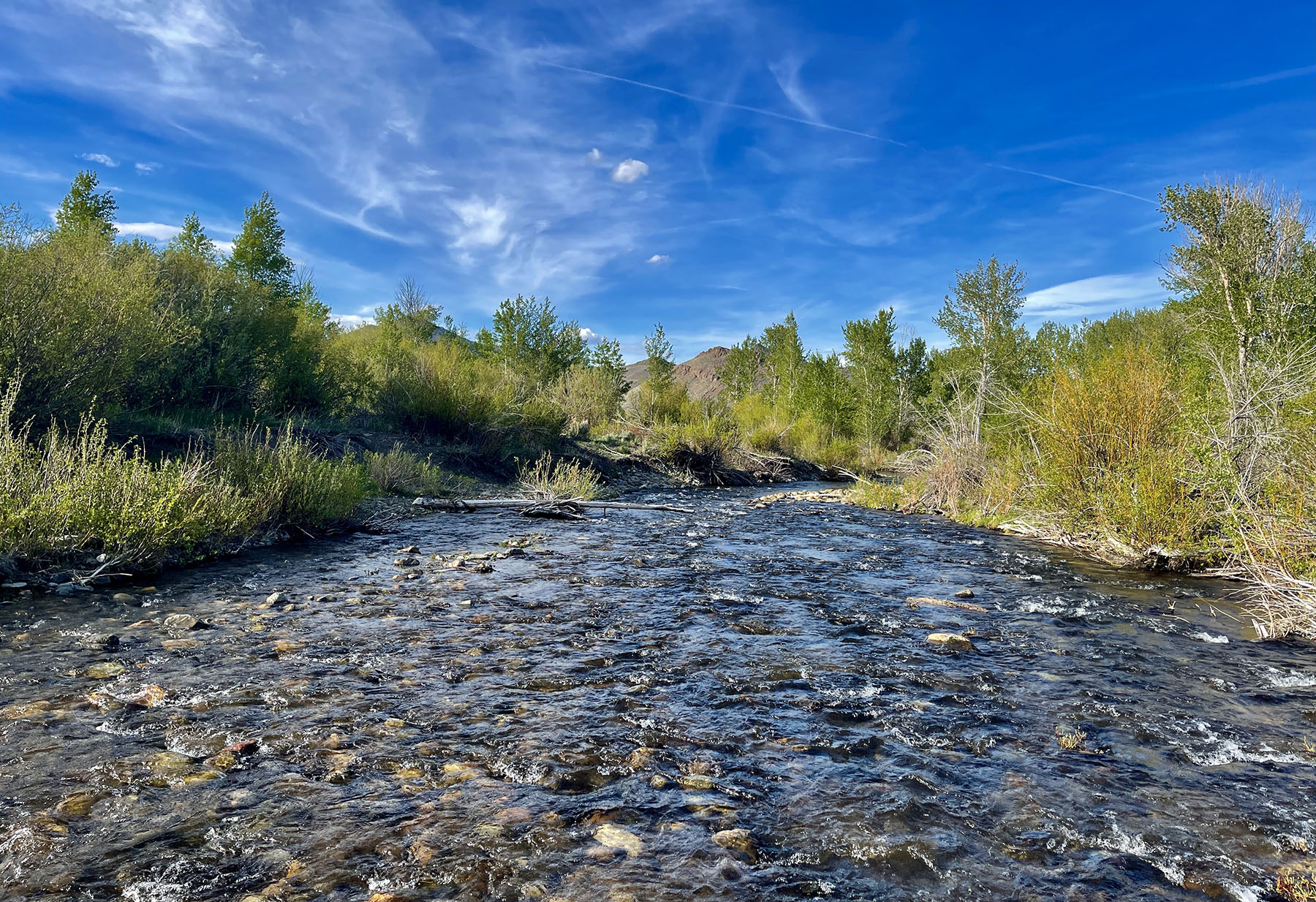 Upper Antelope Creek Ranch property picture 2 of 49