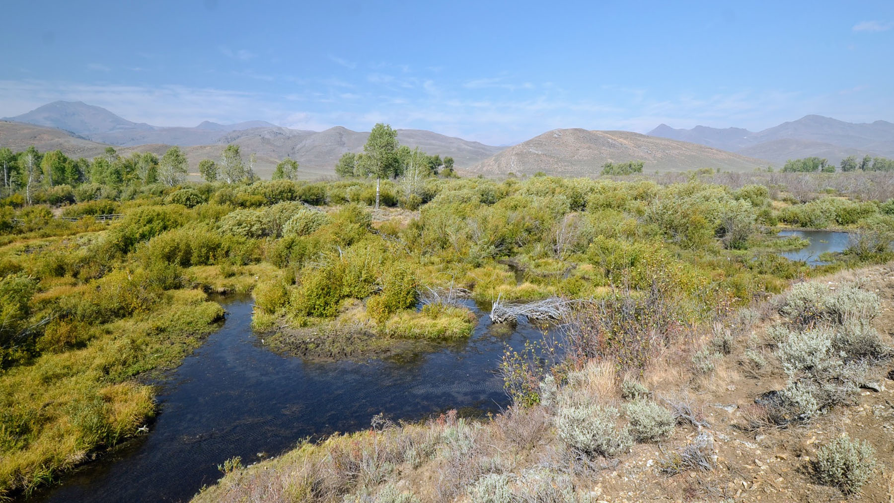Upper Antelope Creek Ranch property picture 23 of 49