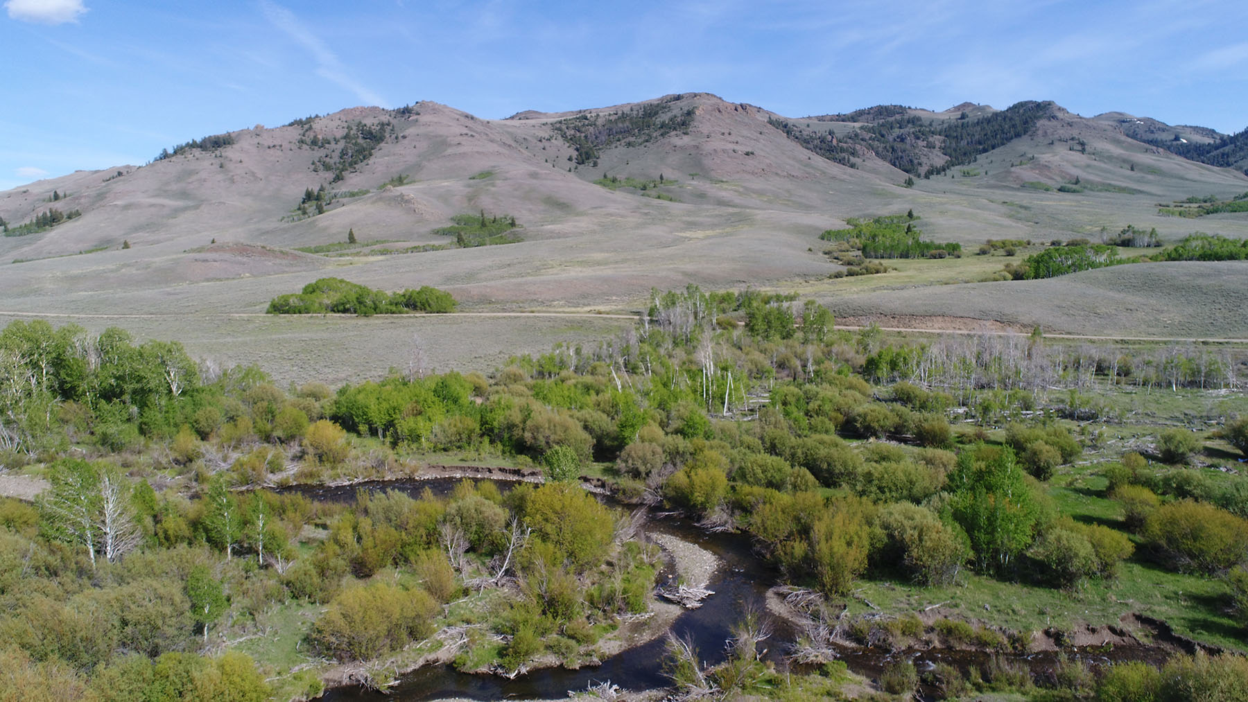 Upper Antelope Creek Ranch property picture 22 of 49