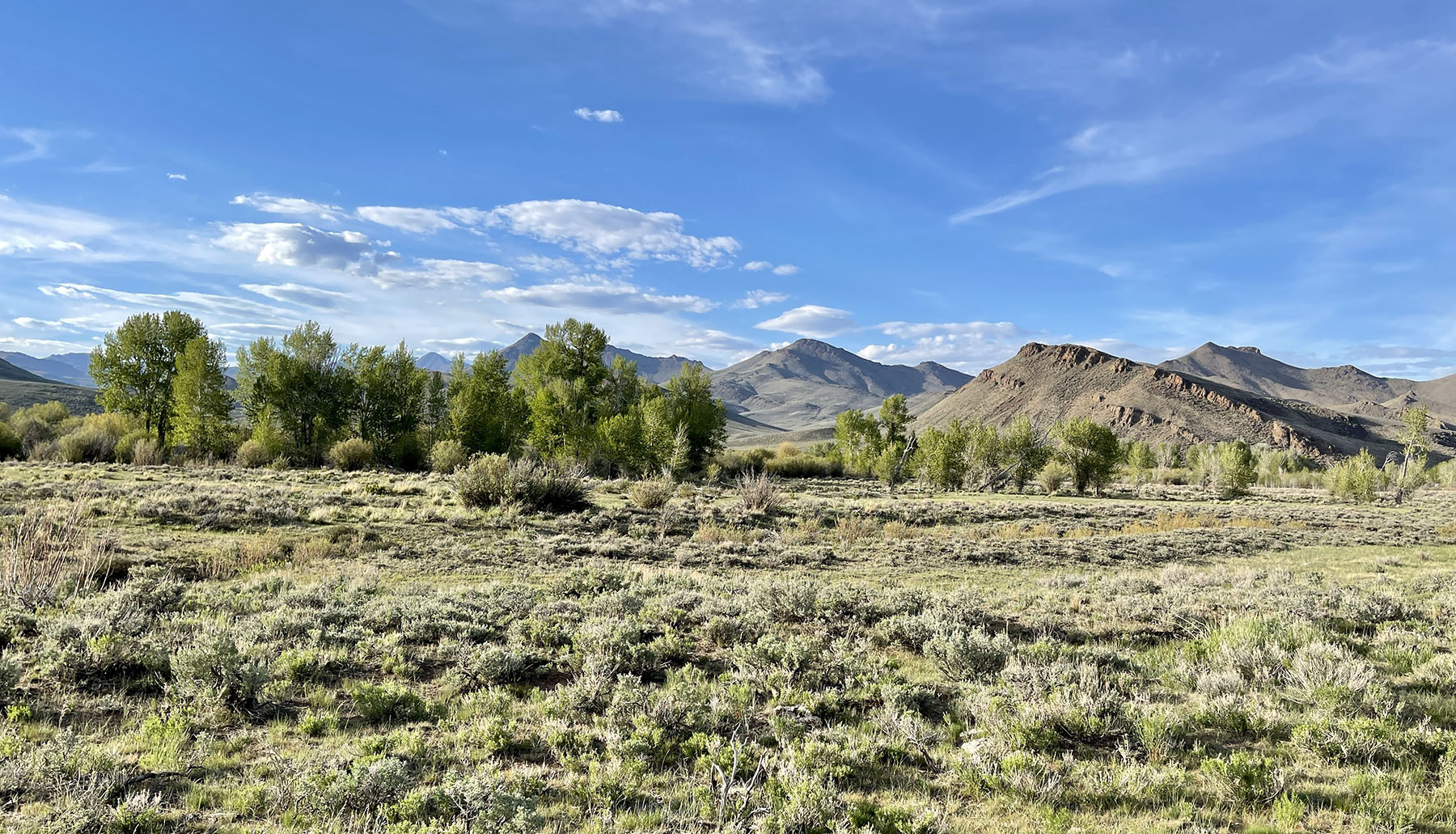 Upper Antelope Creek Ranch property picture 17 of 49