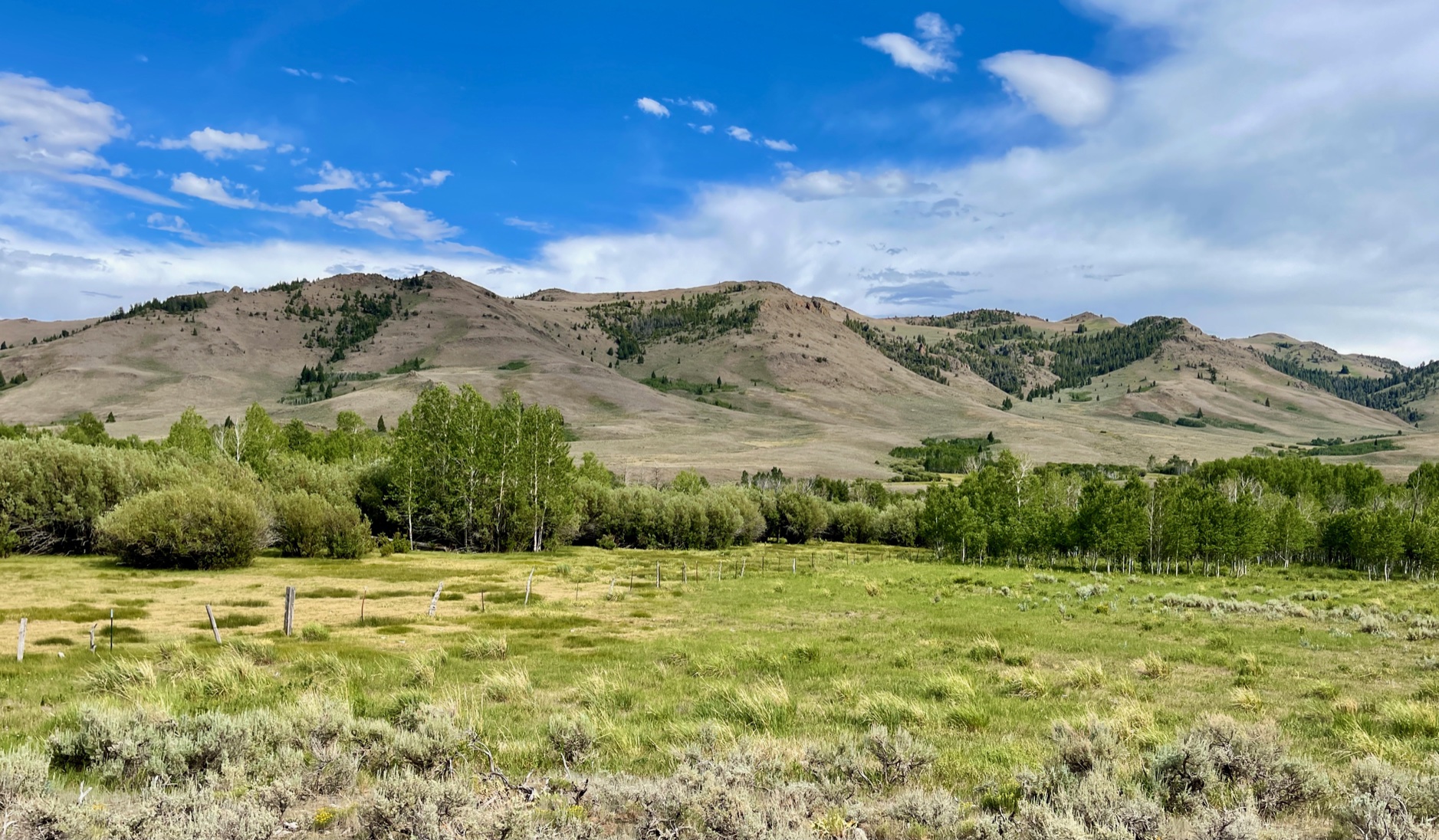 Upper Antelope Creek Ranch property picture 42 of 49