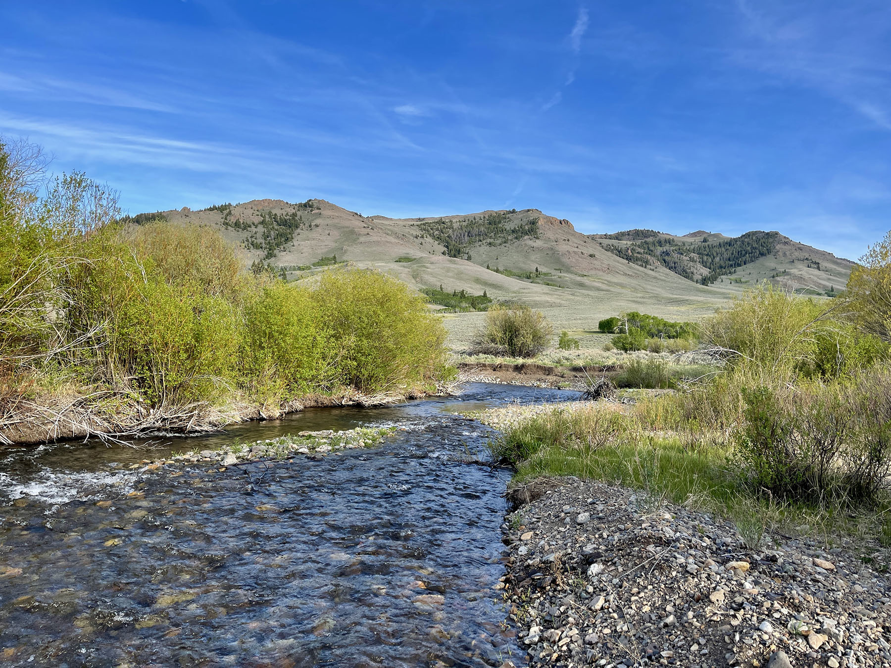 Upper Antelope Creek Ranch property picture 30 of 49