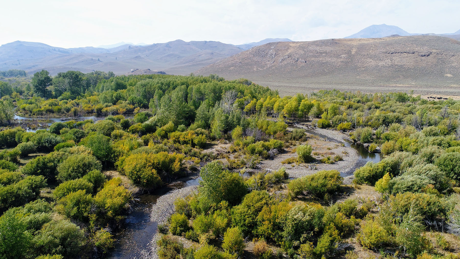 Upper Antelope Creek Ranch property picture 39 of 49