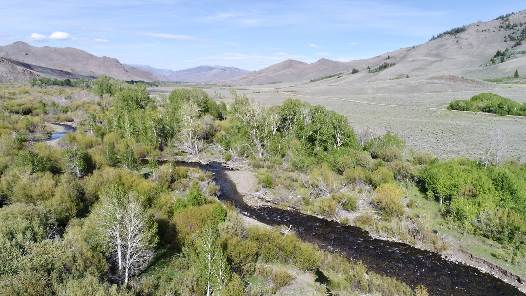 Upper Antelope Creek Ranch property picture 24 of 49