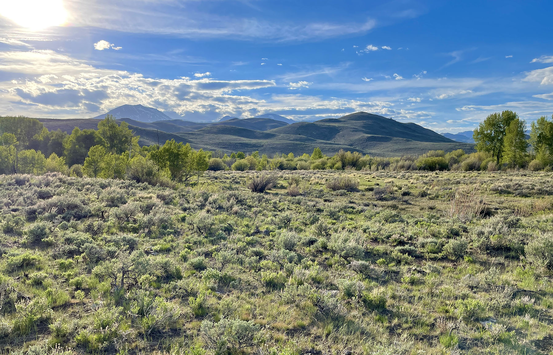 Upper Antelope Creek Ranch property picture 18 of 49