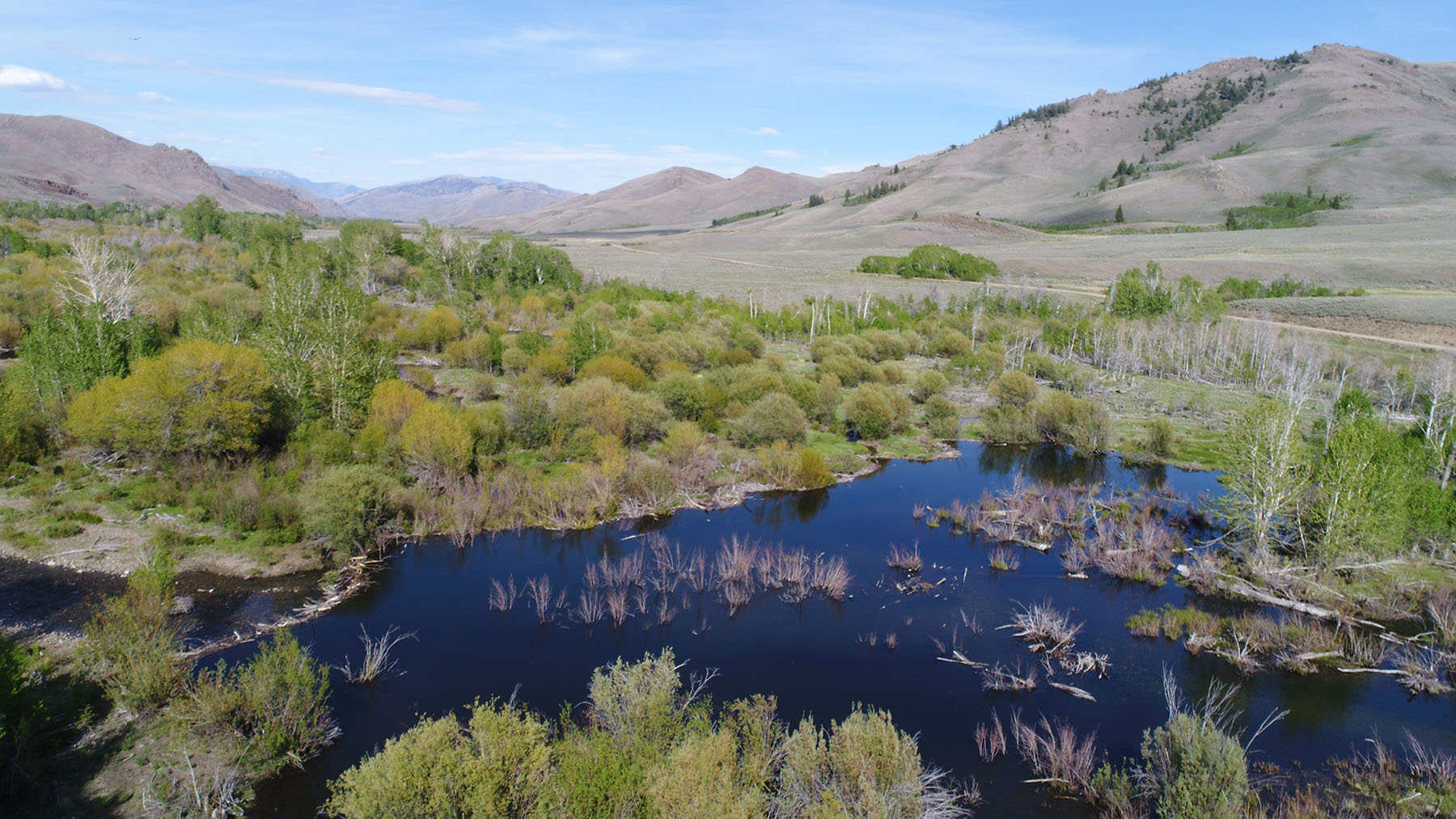 Upper Antelope Creek Ranch property picture 28 of 49