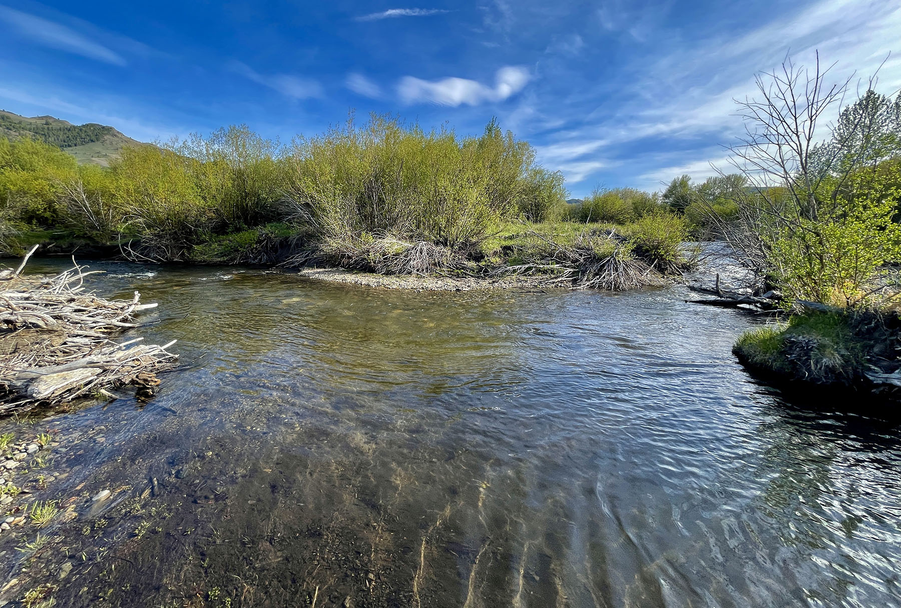 Upper Antelope Creek Ranch property picture 29 of 49