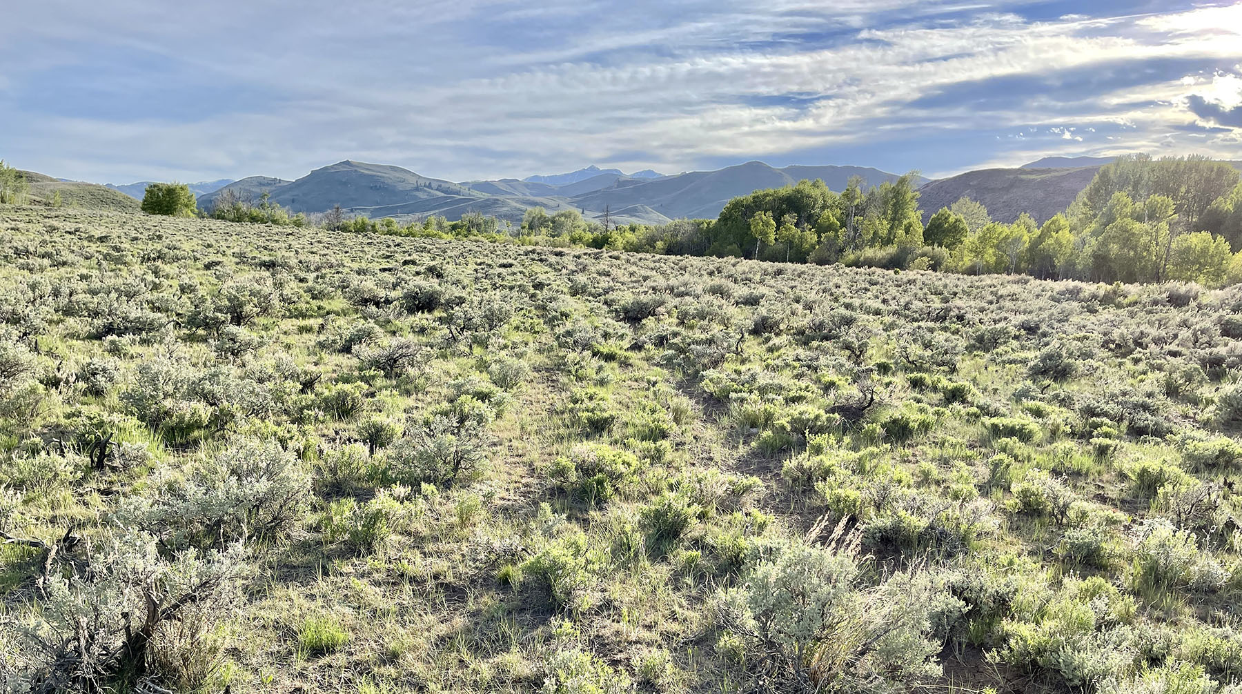 Upper Antelope Creek Ranch property picture 19 of 49