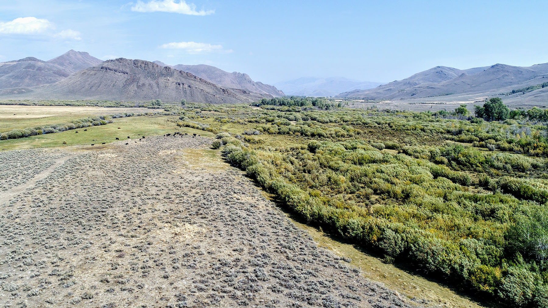 Upper Antelope Creek Ranch property picture 37 of 49