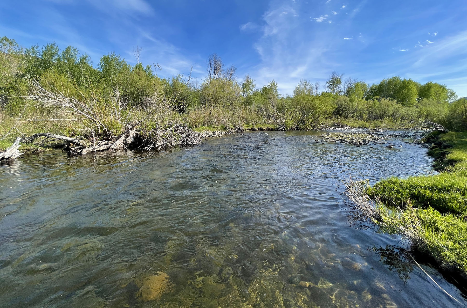 Upper Antelope Creek Ranch property picture 8 of 49