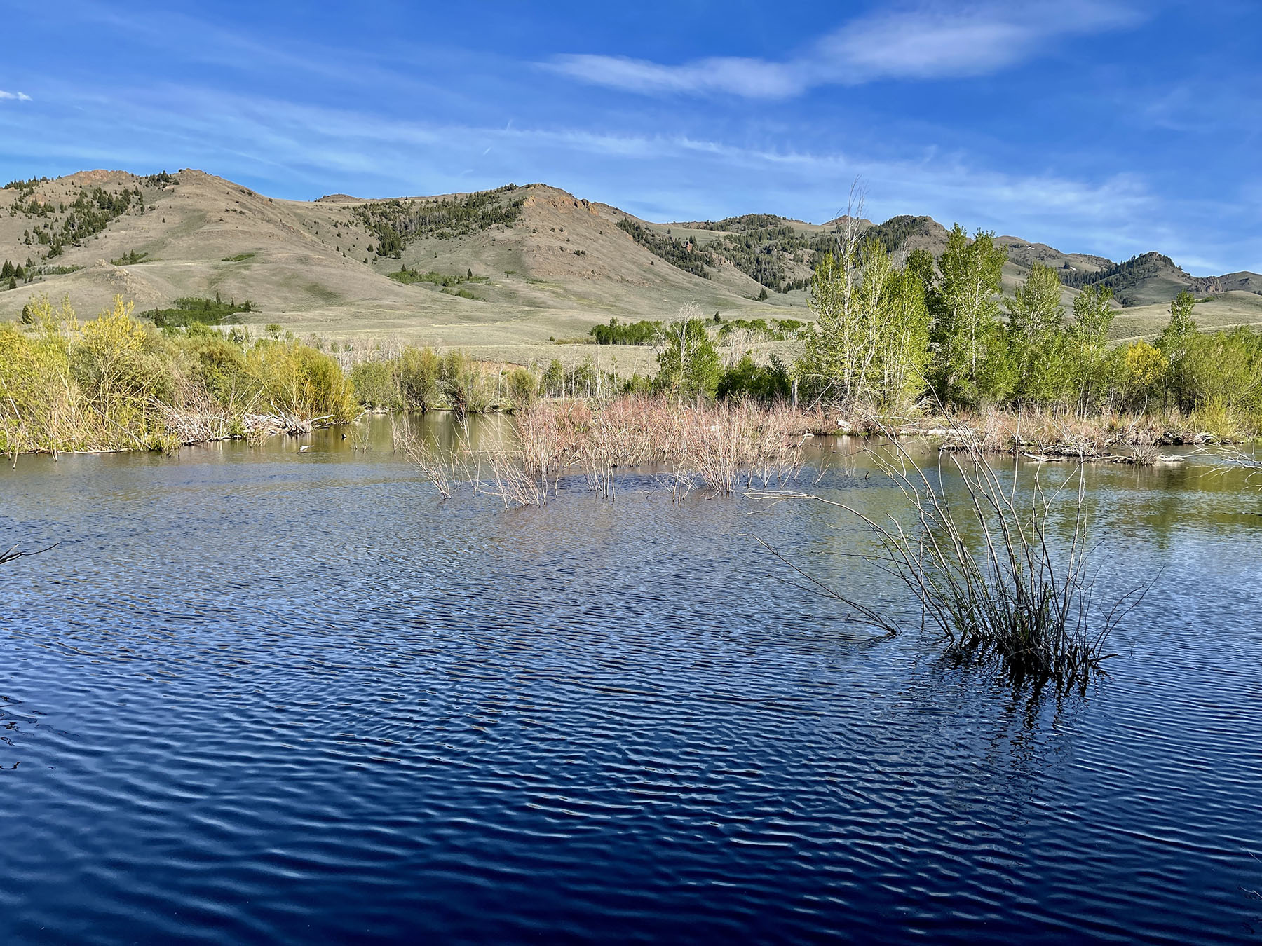 Upper Antelope Creek Ranch property picture 13 of 49