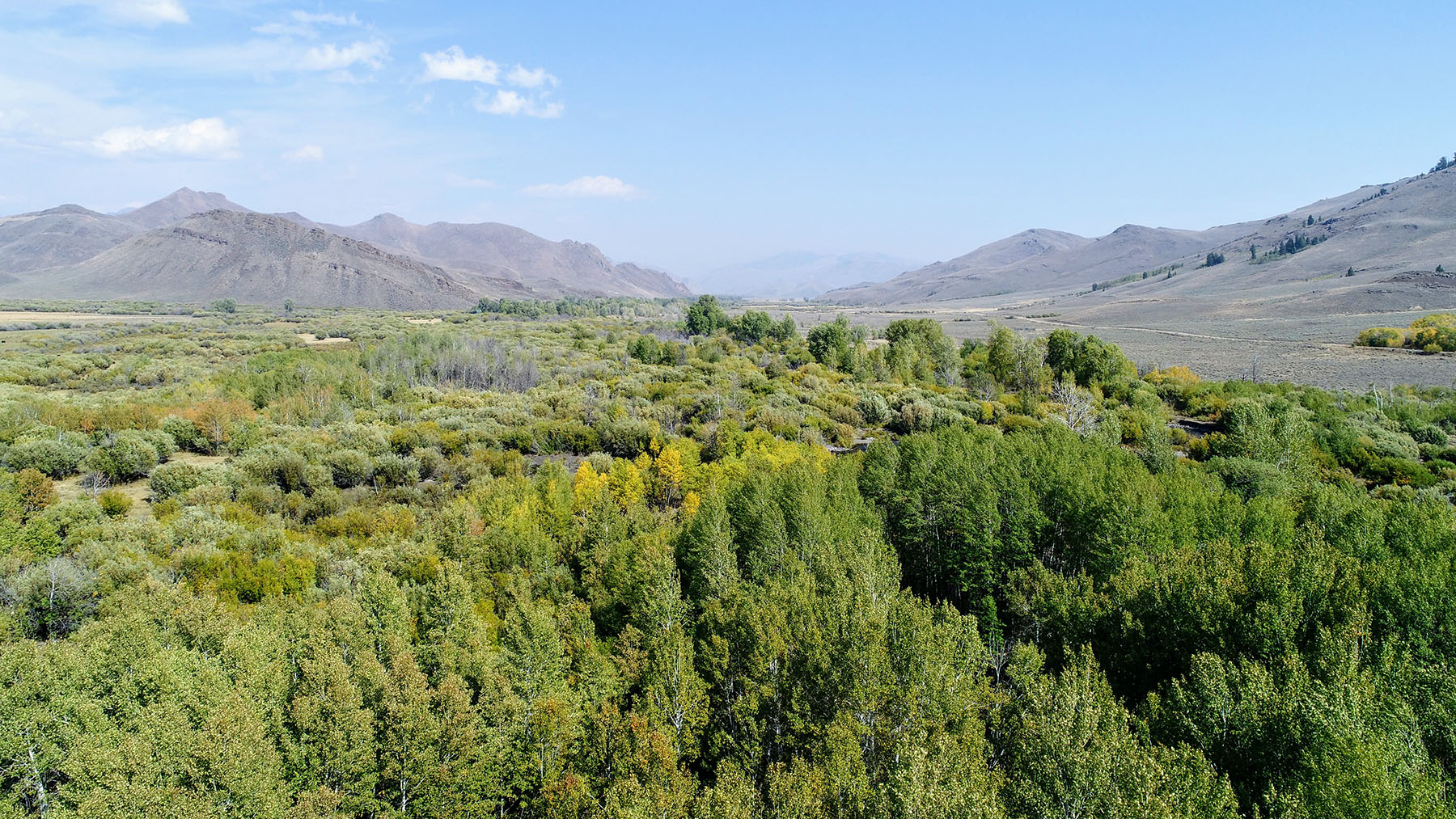 Upper Antelope Creek Ranch property picture 40 of 49